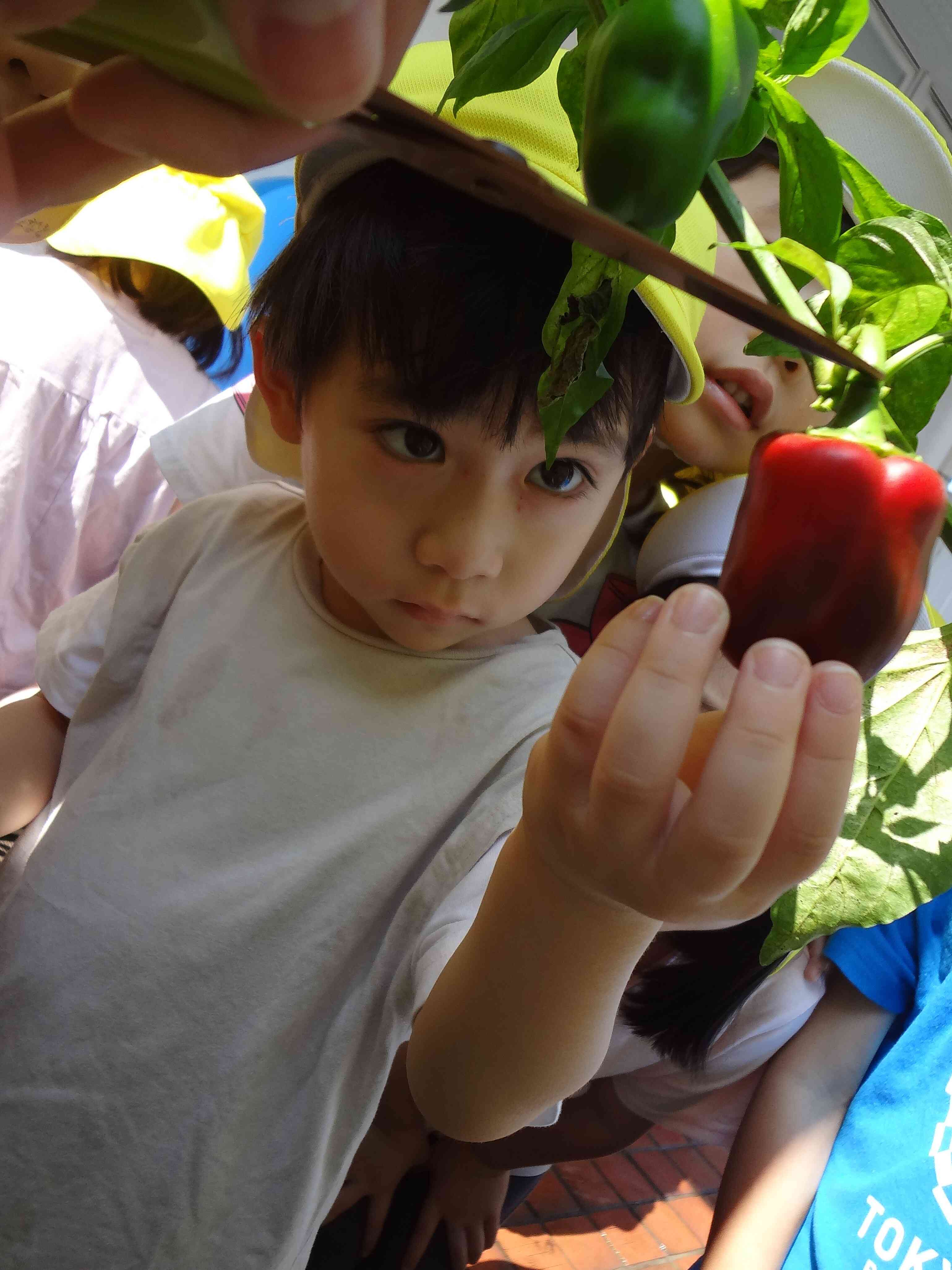 8月の思い出　ぱんだ組（4歳児）