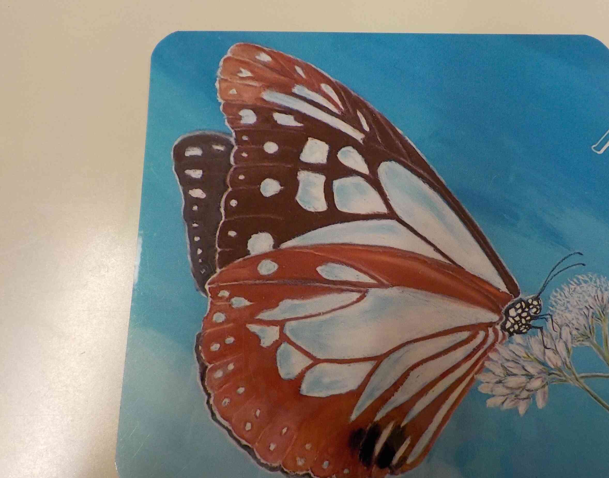 先生が描いてくれたよ