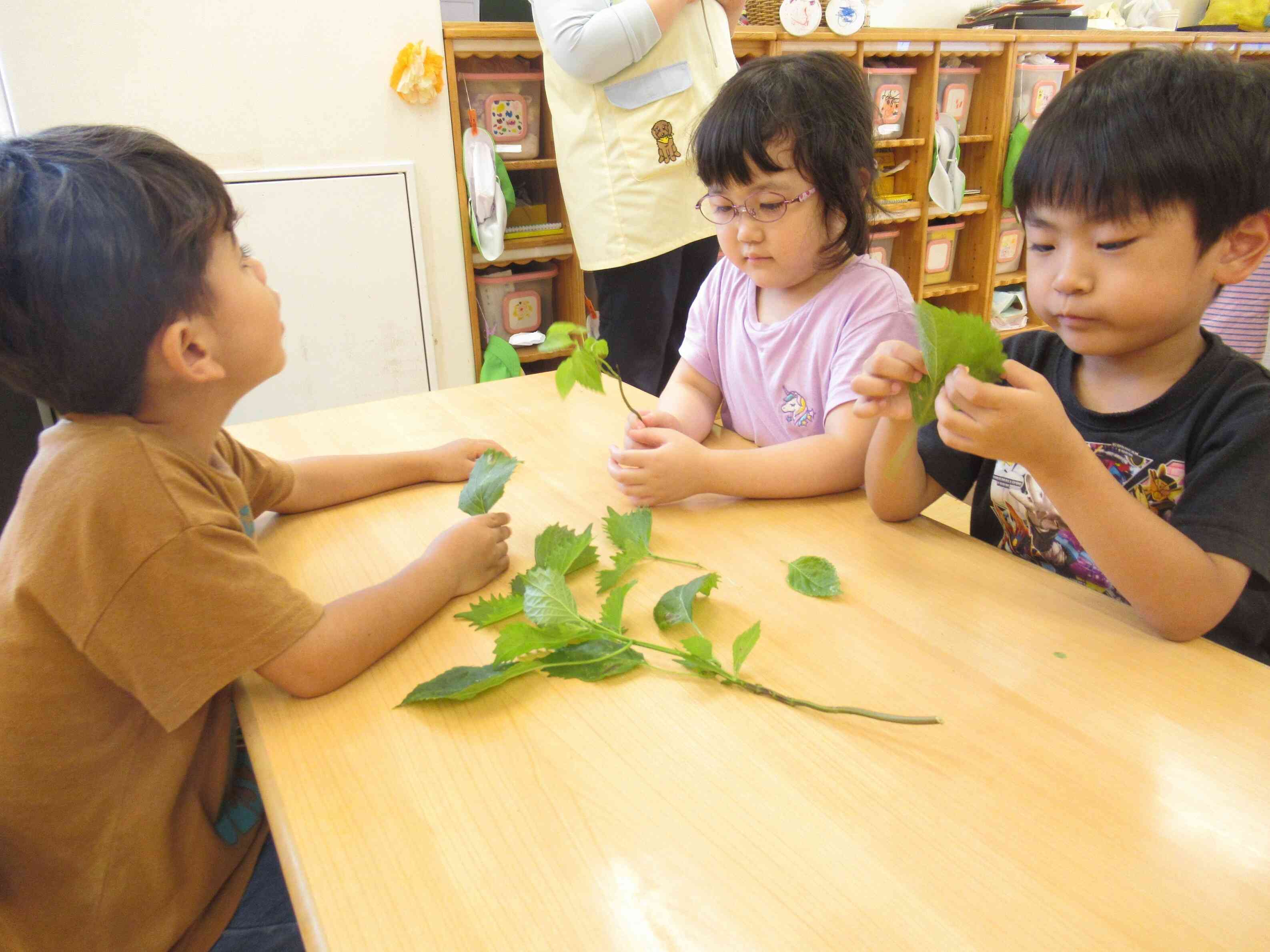 ～食育ぱんだ組さん（４歳児）～