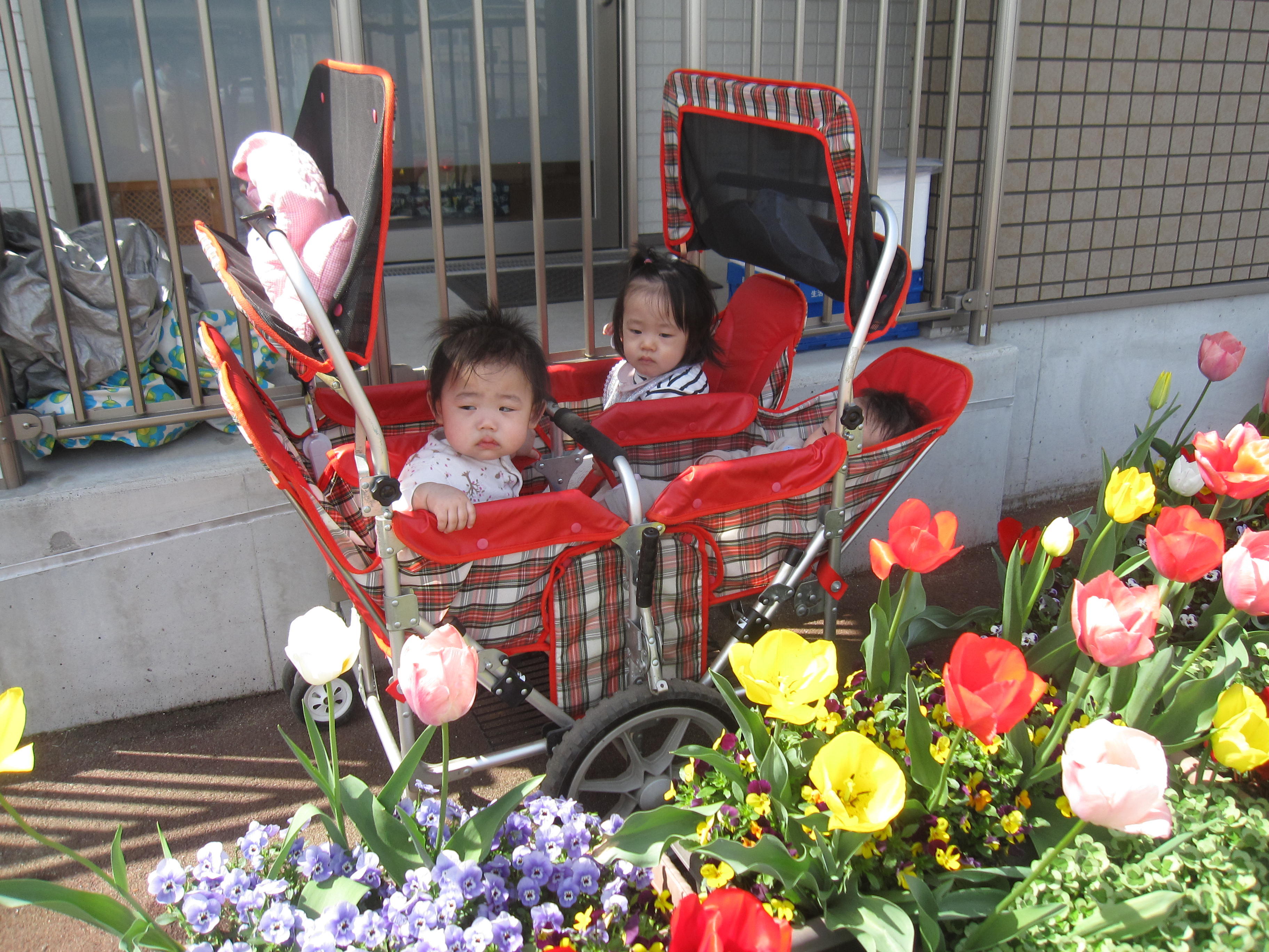 0歳児 春のお散歩に出かけよう！｜ニチイキッズたひ東保育園｜ニチイキッズ