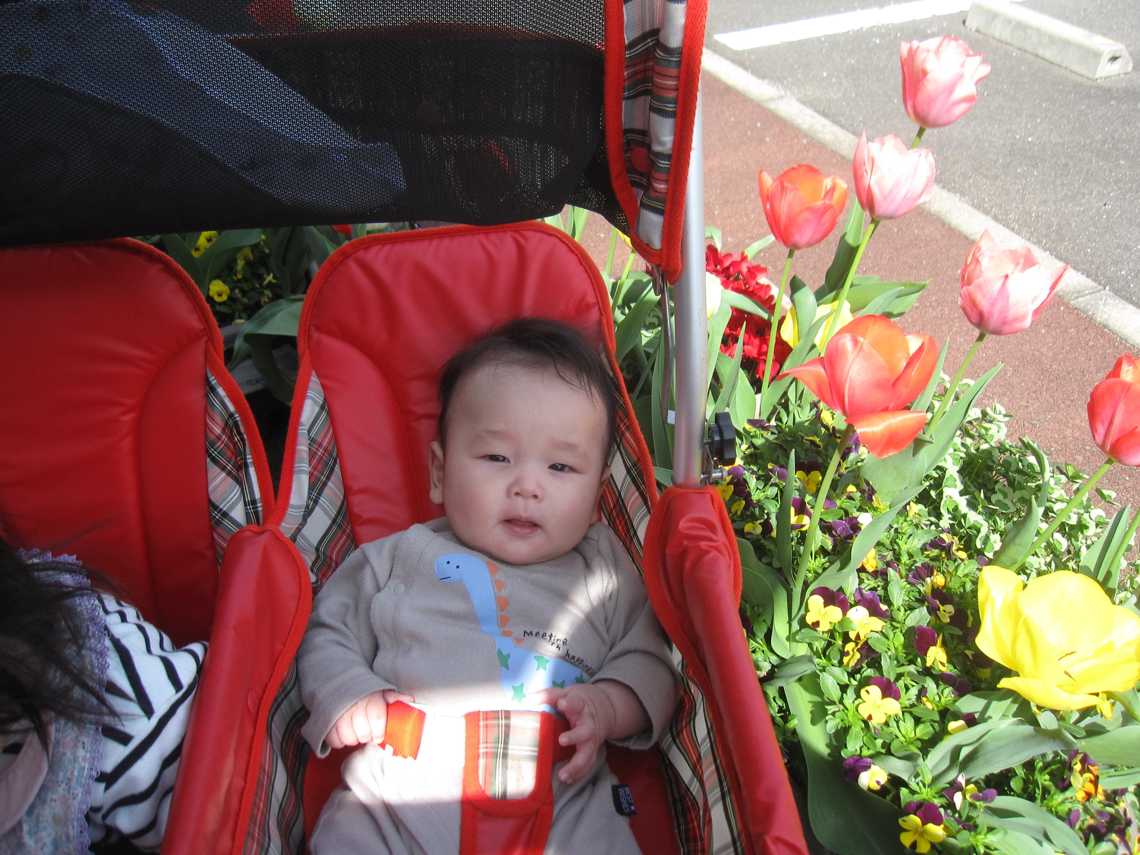 0歳児 春のお散歩に出かけよう！｜ニチイキッズたひ東保育園｜ニチイキッズ