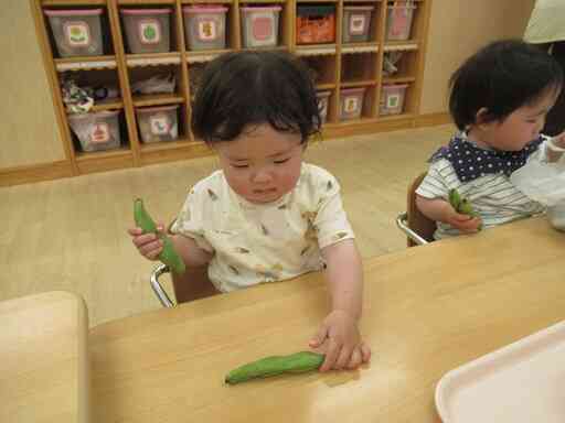 そらまめが入っているんだね