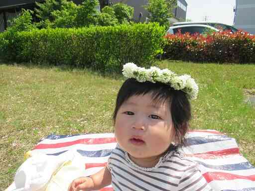 近くの公園にシロツメクサの花がたくさん咲いており、冠を作りました。気持ちのいい5月の風や緑のじゅうたんの上で過ごしました♡