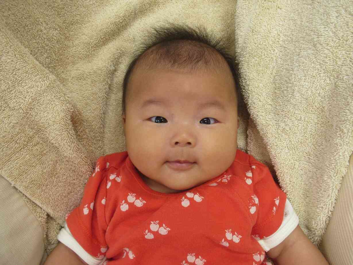 新しいお友だちが増えました！（０歳児）