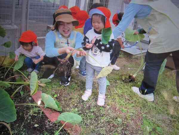 子どもたちと一緒に里芋収獲をしました！