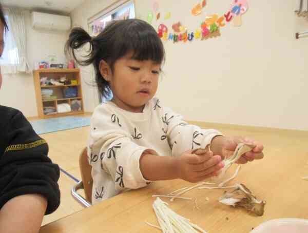 きのこさきに挑戦！