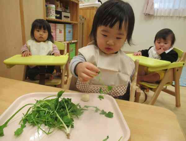 本物の七草を見ることが出来ました。