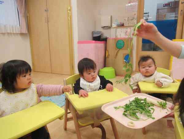 七草のお話を聞いたよ