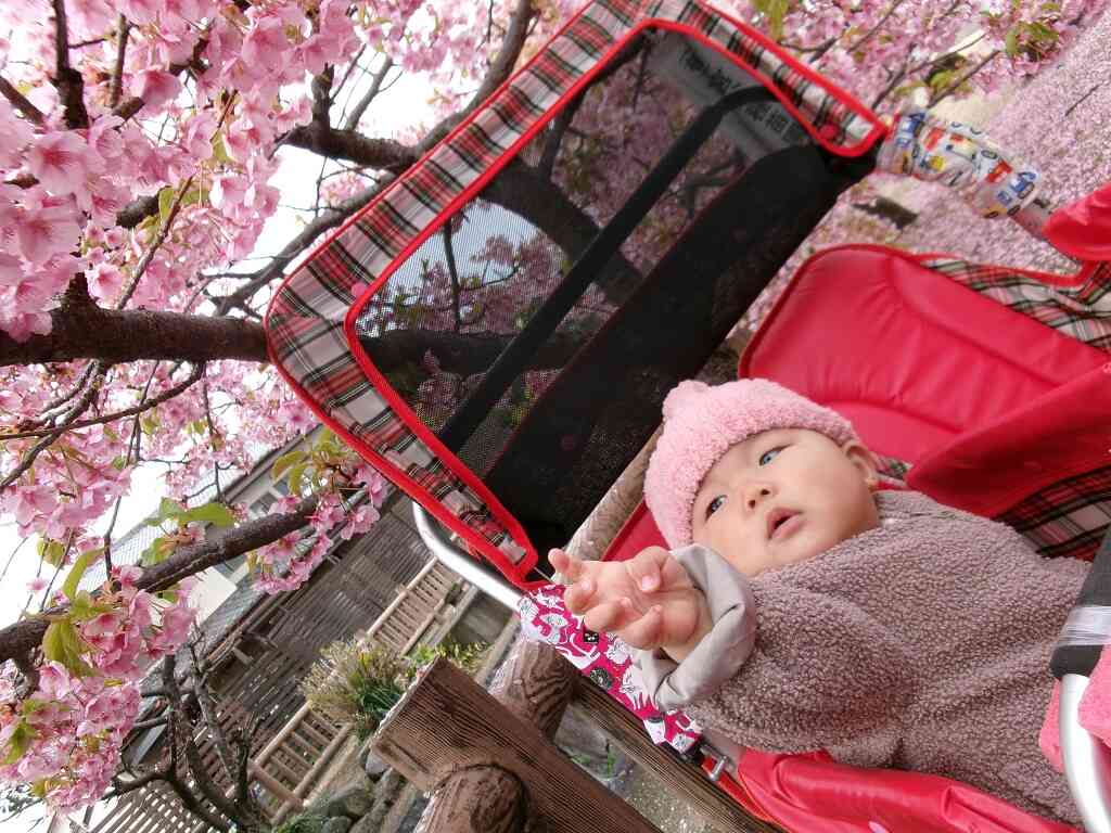 鹿の井出水に行ってきたよ（0歳児）