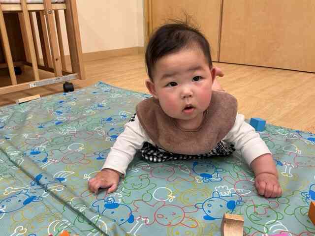 気になるおもちゃがたくさんあるね！