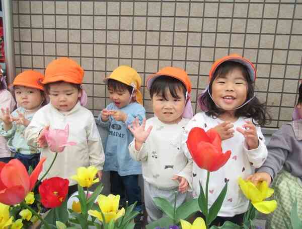 保育園のチューリップの前で写真を撮りましたね♡子どももチューリップもニコニコです。