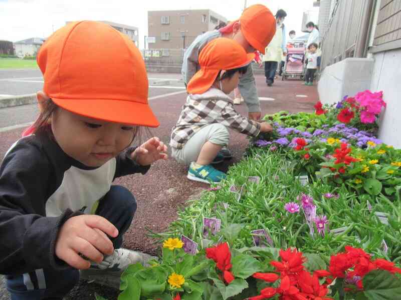 きれいなお花をみつけたよ!(0.1.2歳児)