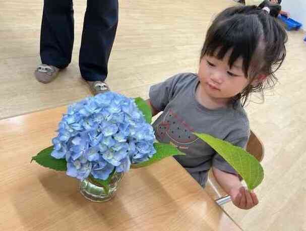 きれいな紫陽花にうっとり♡