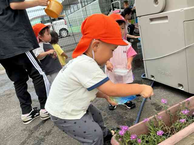 お花にも水をあげよう〜♪