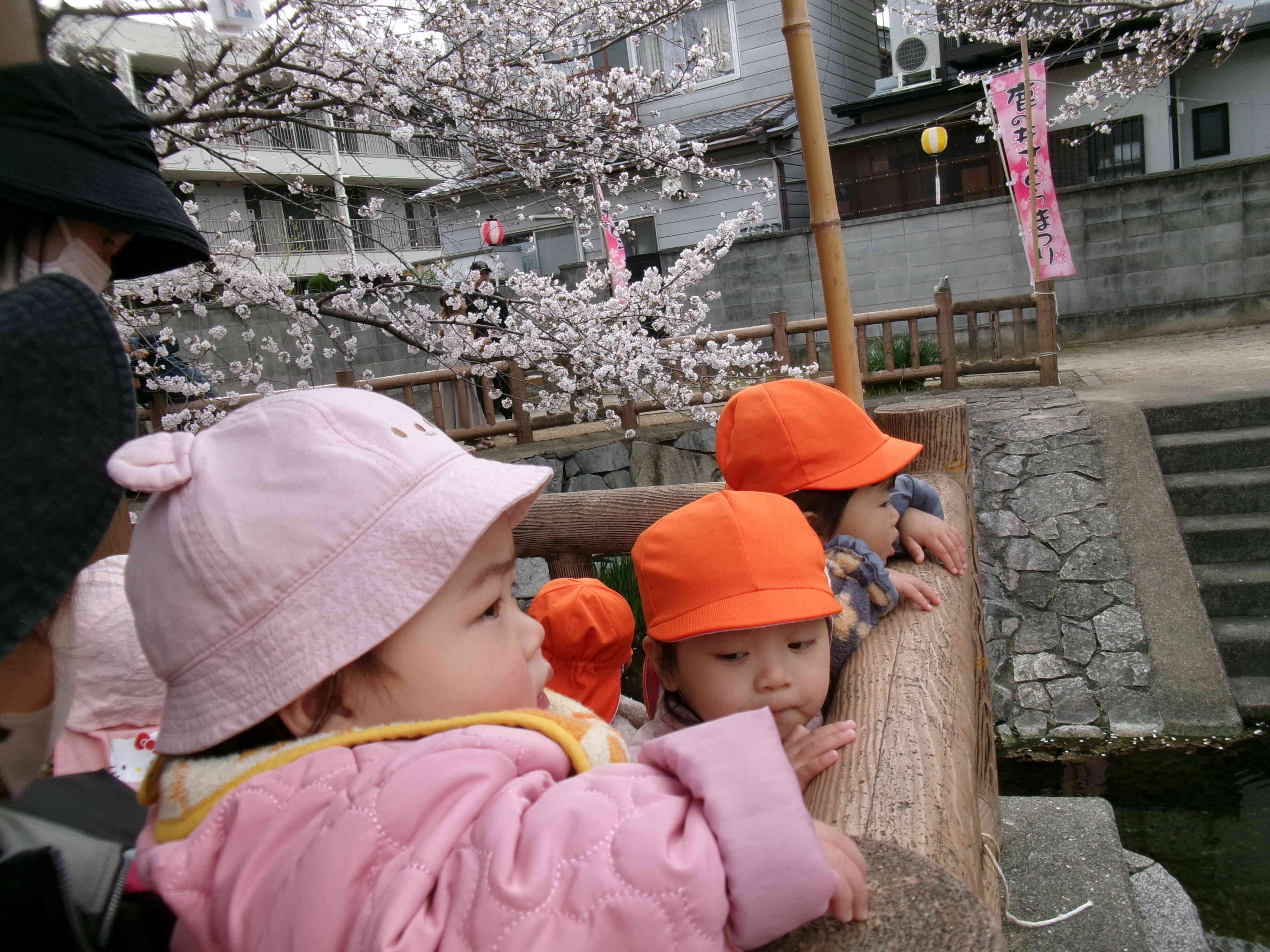 鹿ノ井出水にお花見に行ったよ！