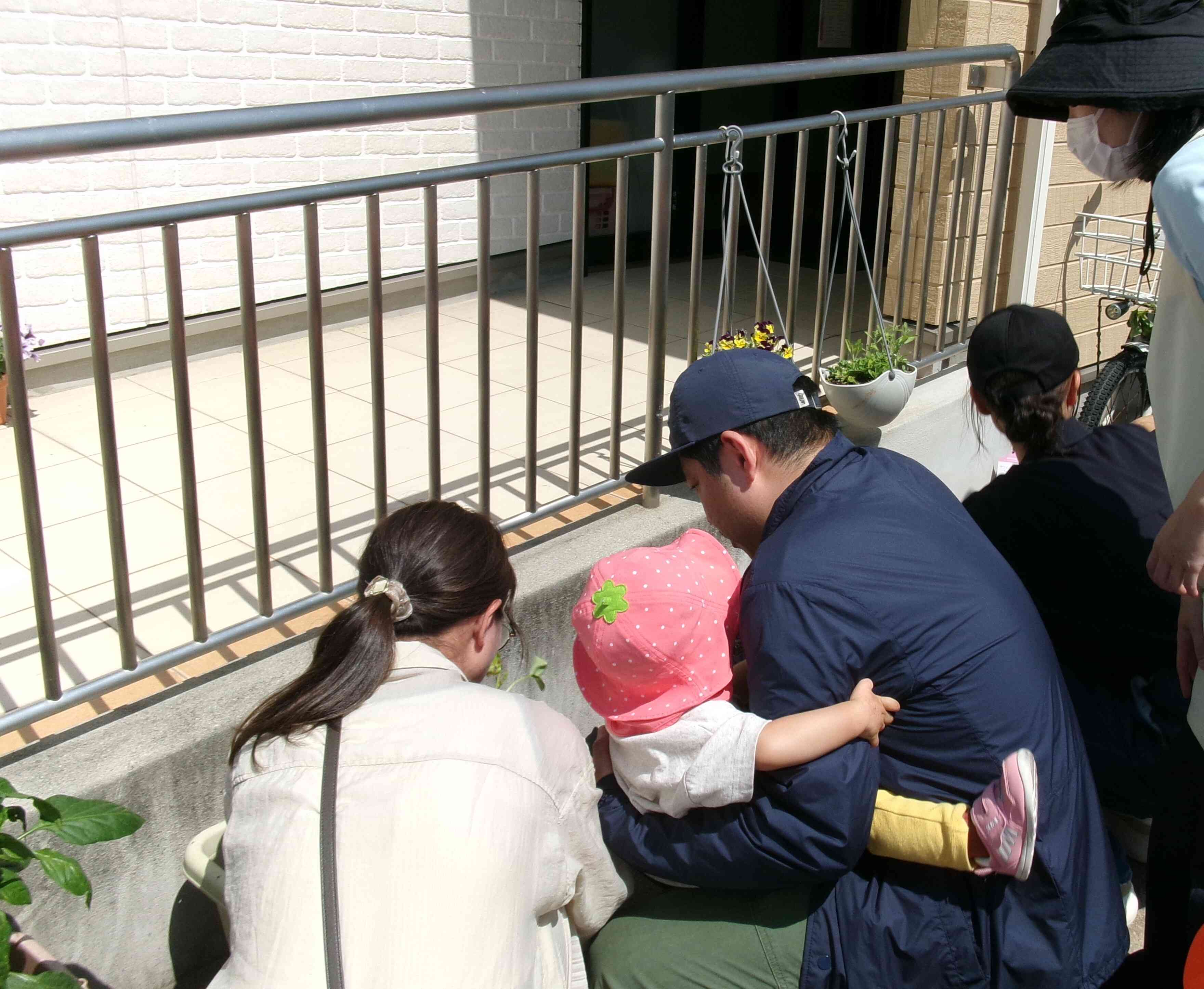 保育参加・給食試食会3日目～あひる組～