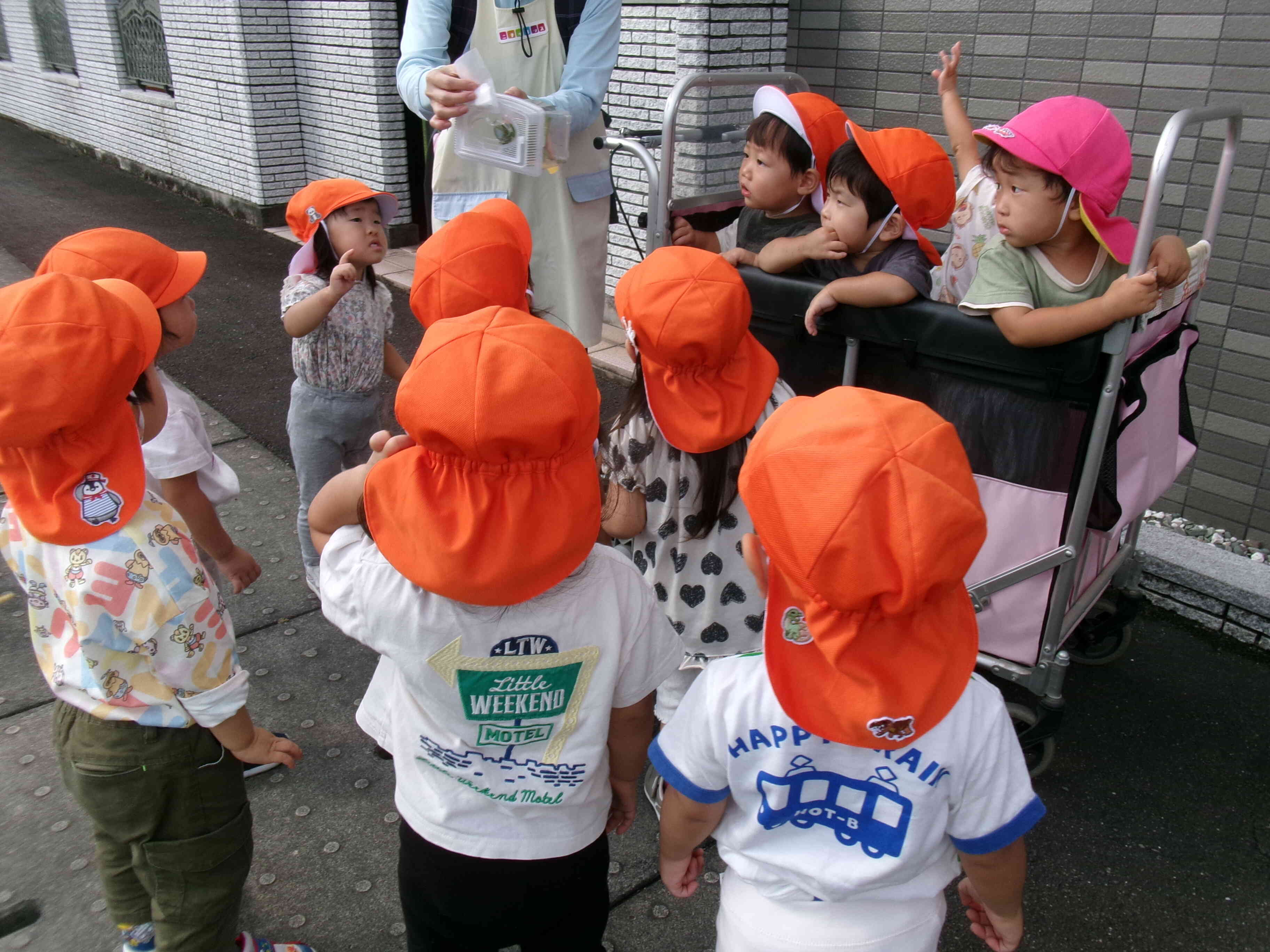 カマキリさんバイバイ！～全クラス～