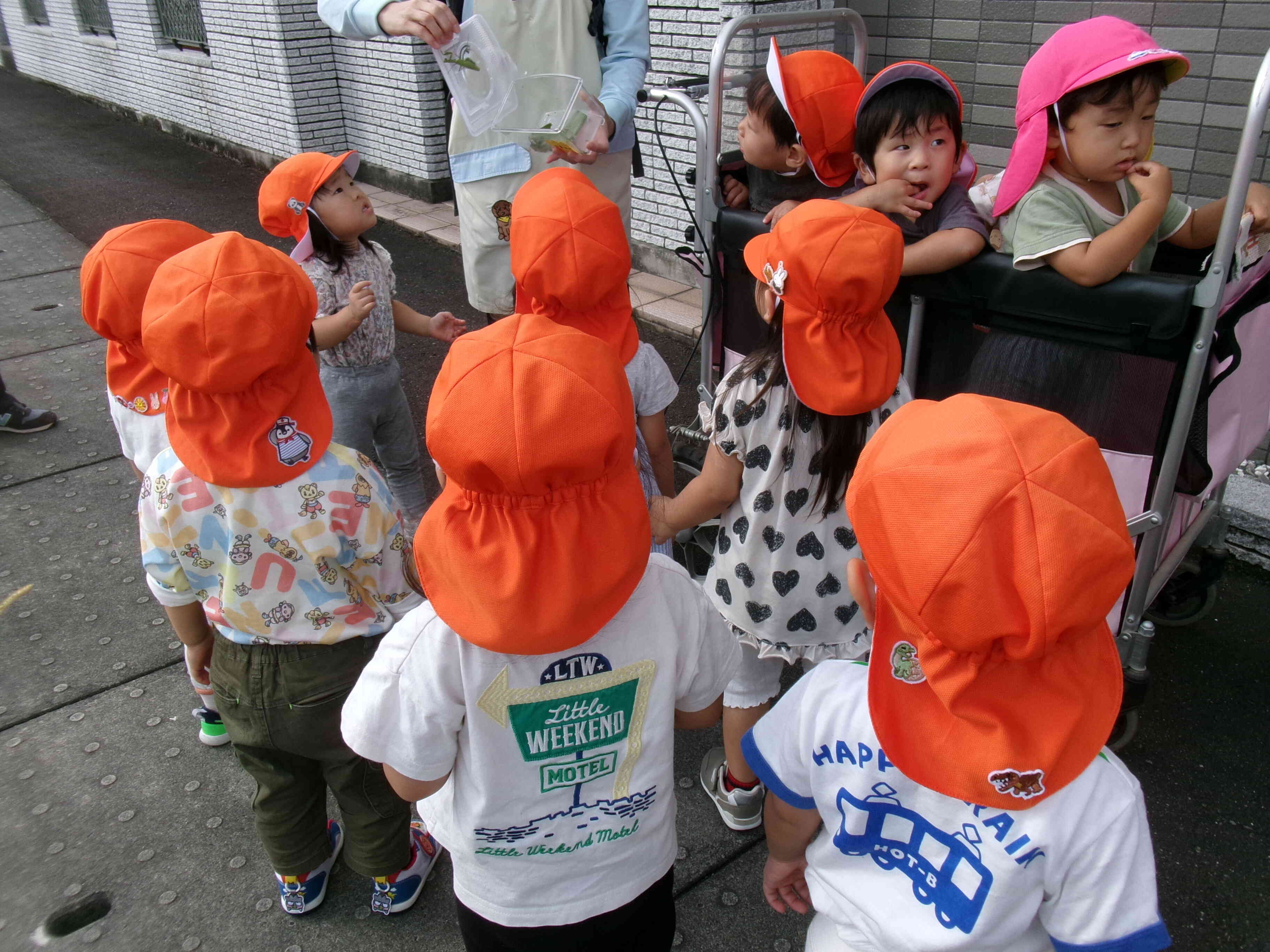 かまちゃんバイバイ！