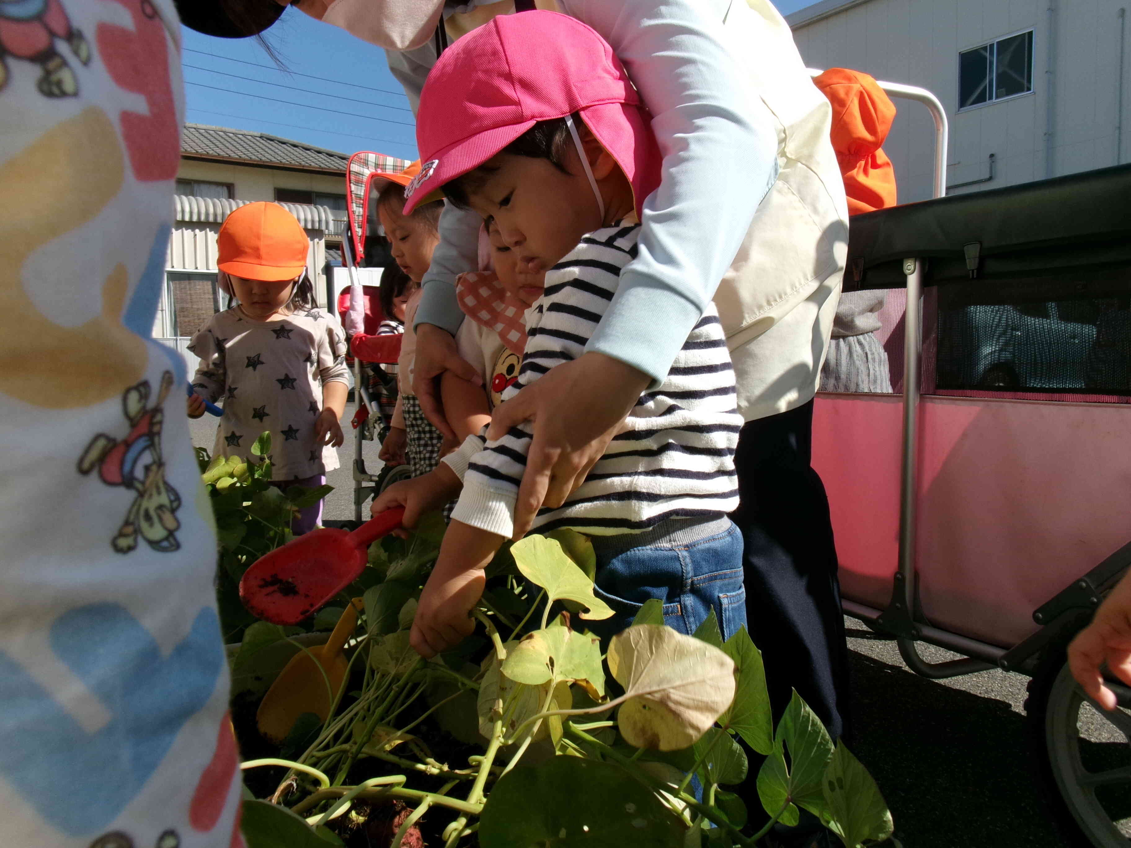 いもほりをしたよ！〜全クラス〜