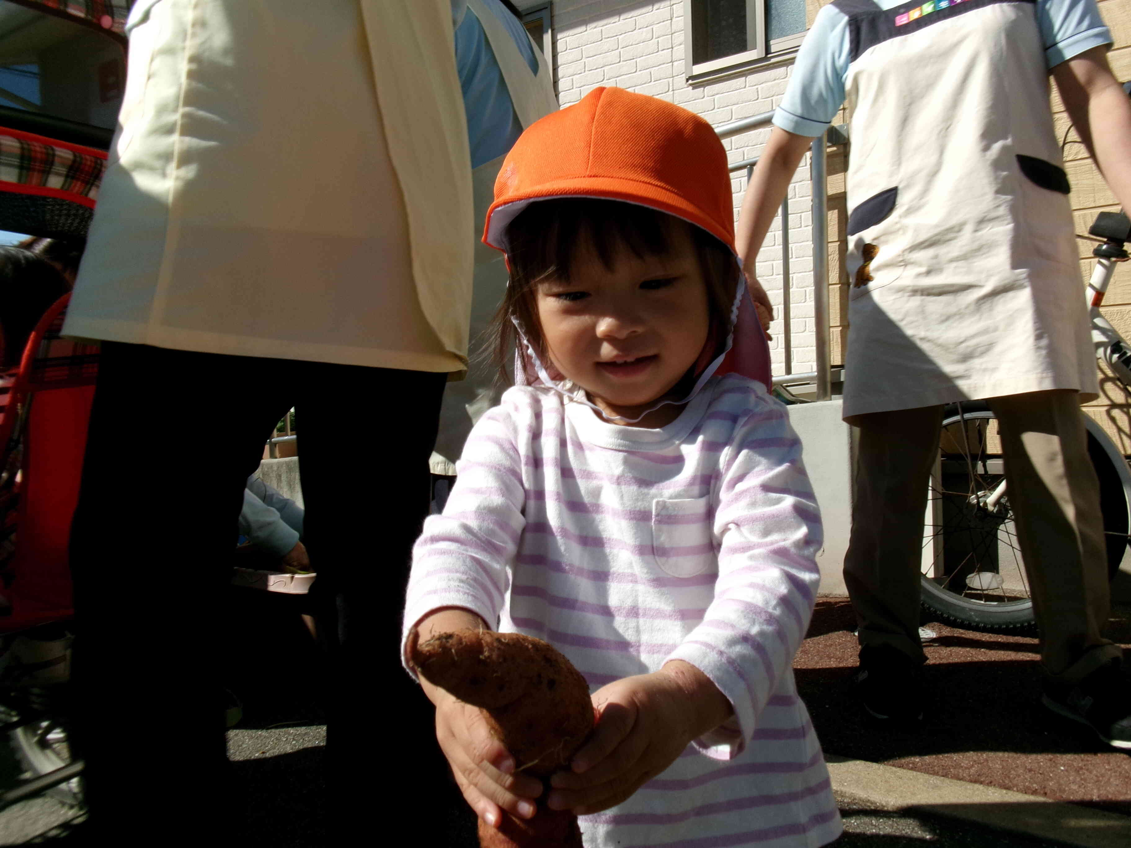 芋掘りたのしいなぁ〜！