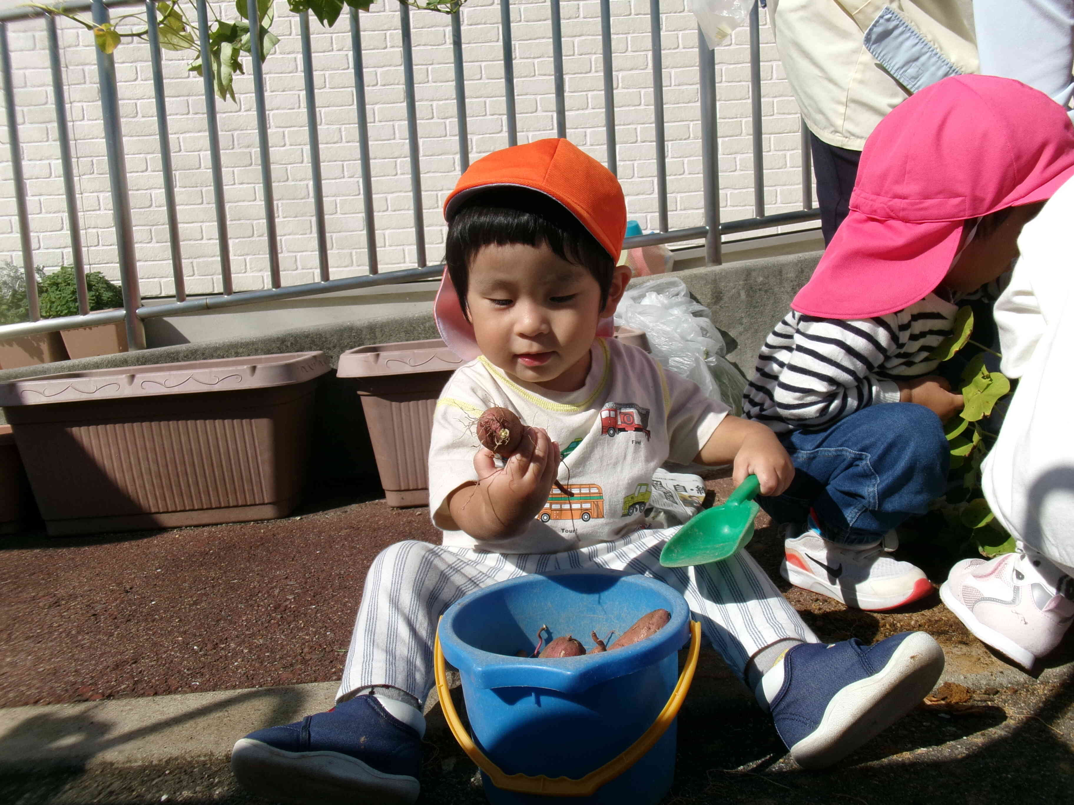 さつまいも大好きなんだ♪