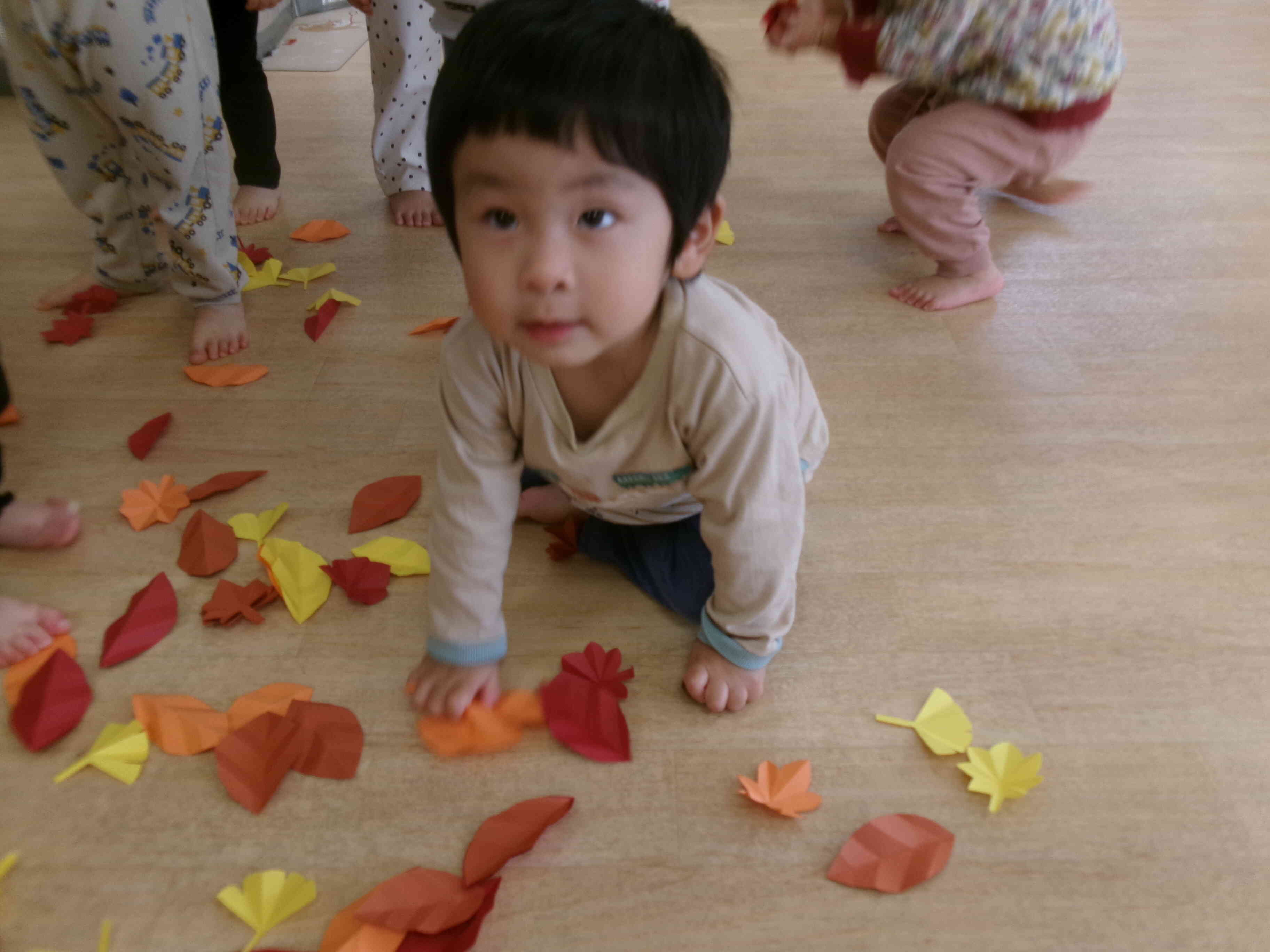 栗拾い楽しいね♪