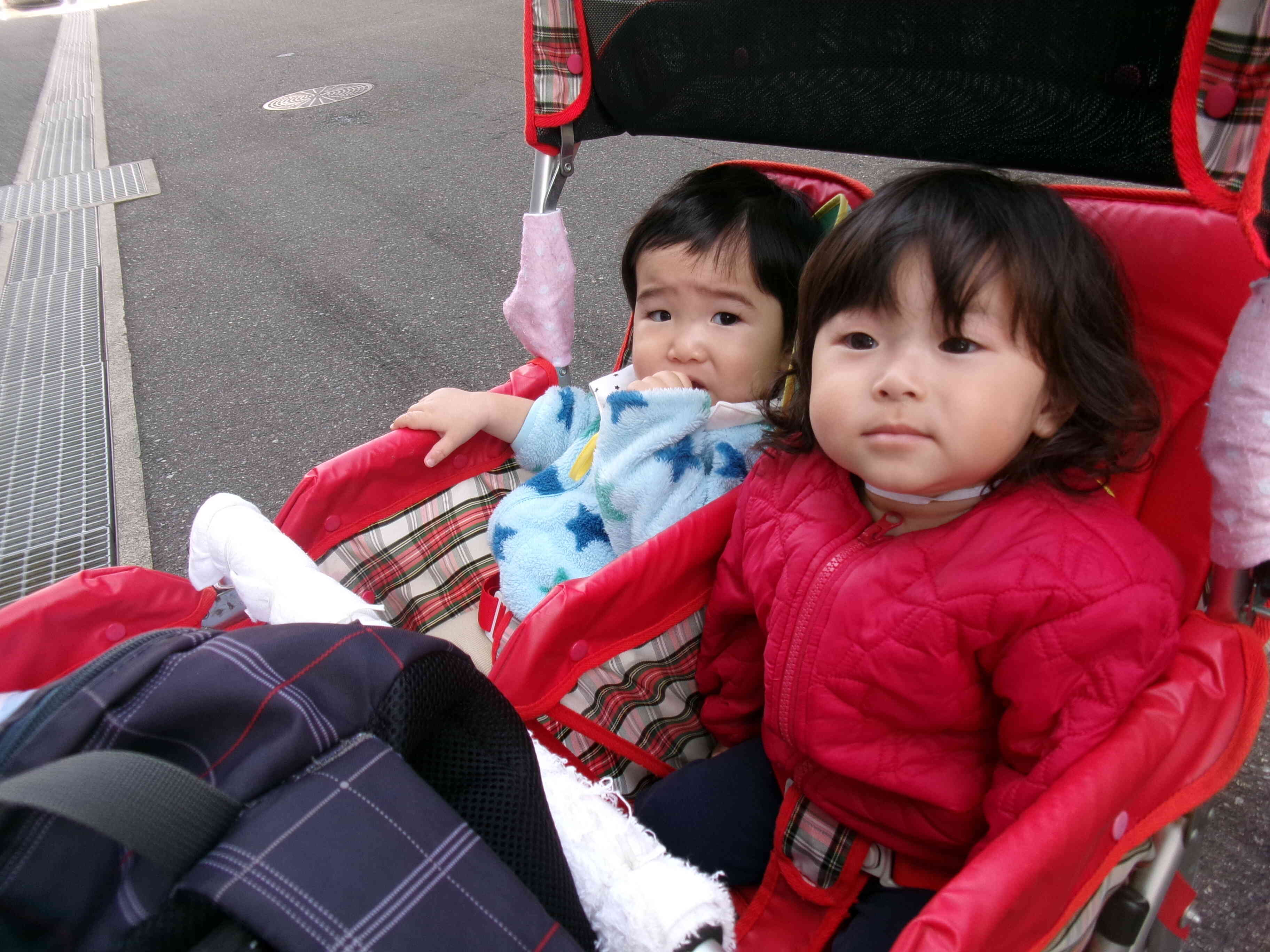 お散歩、楽しいね♩