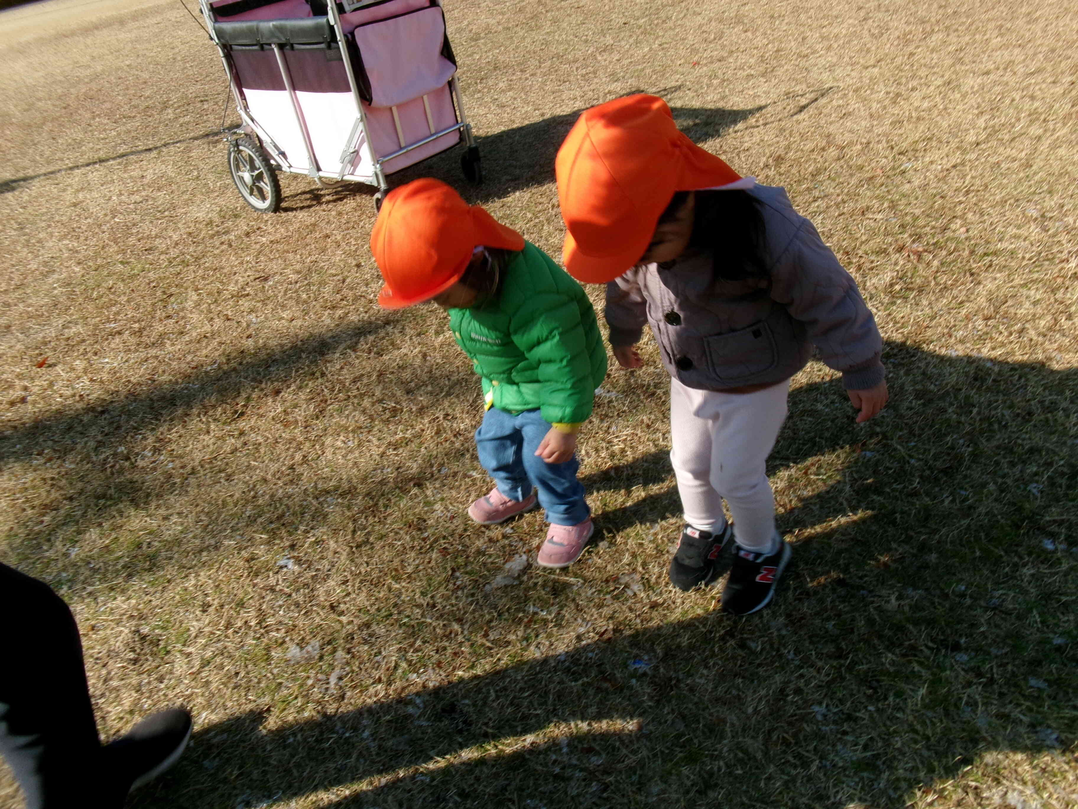 芝生が凍っているよ!