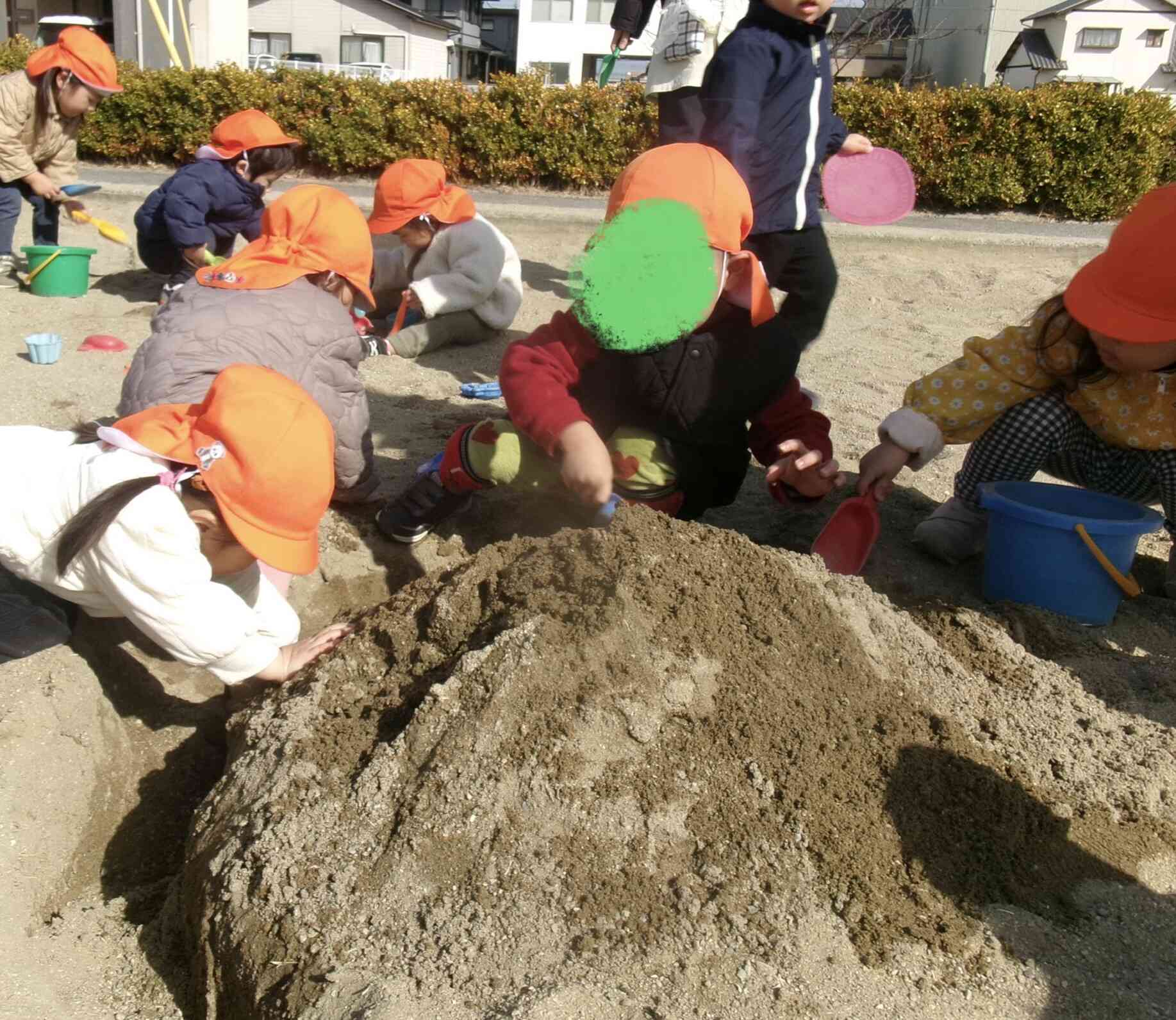 見て、おおきなお山！