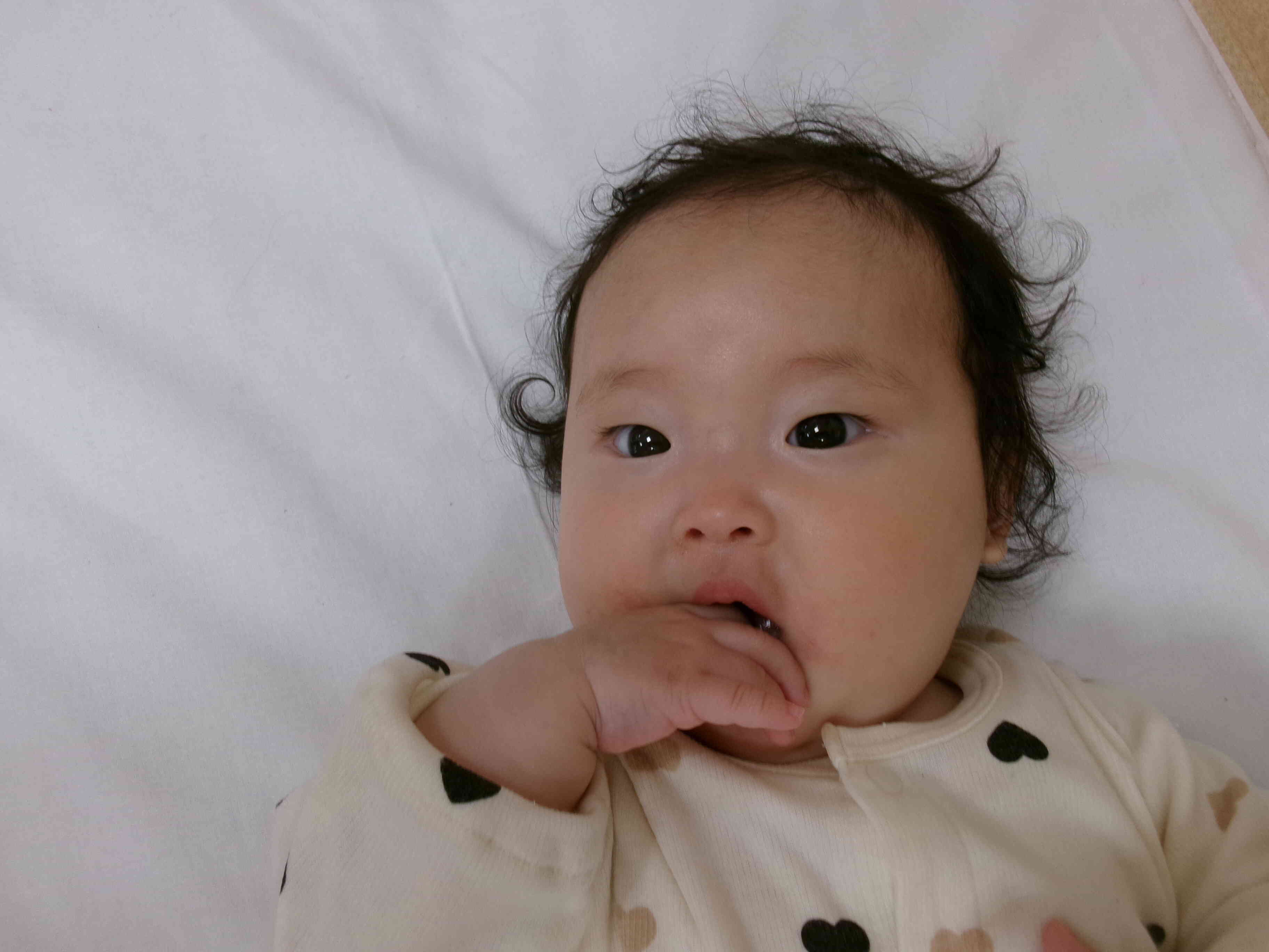 新しいお友だち〜ひよこ組〜