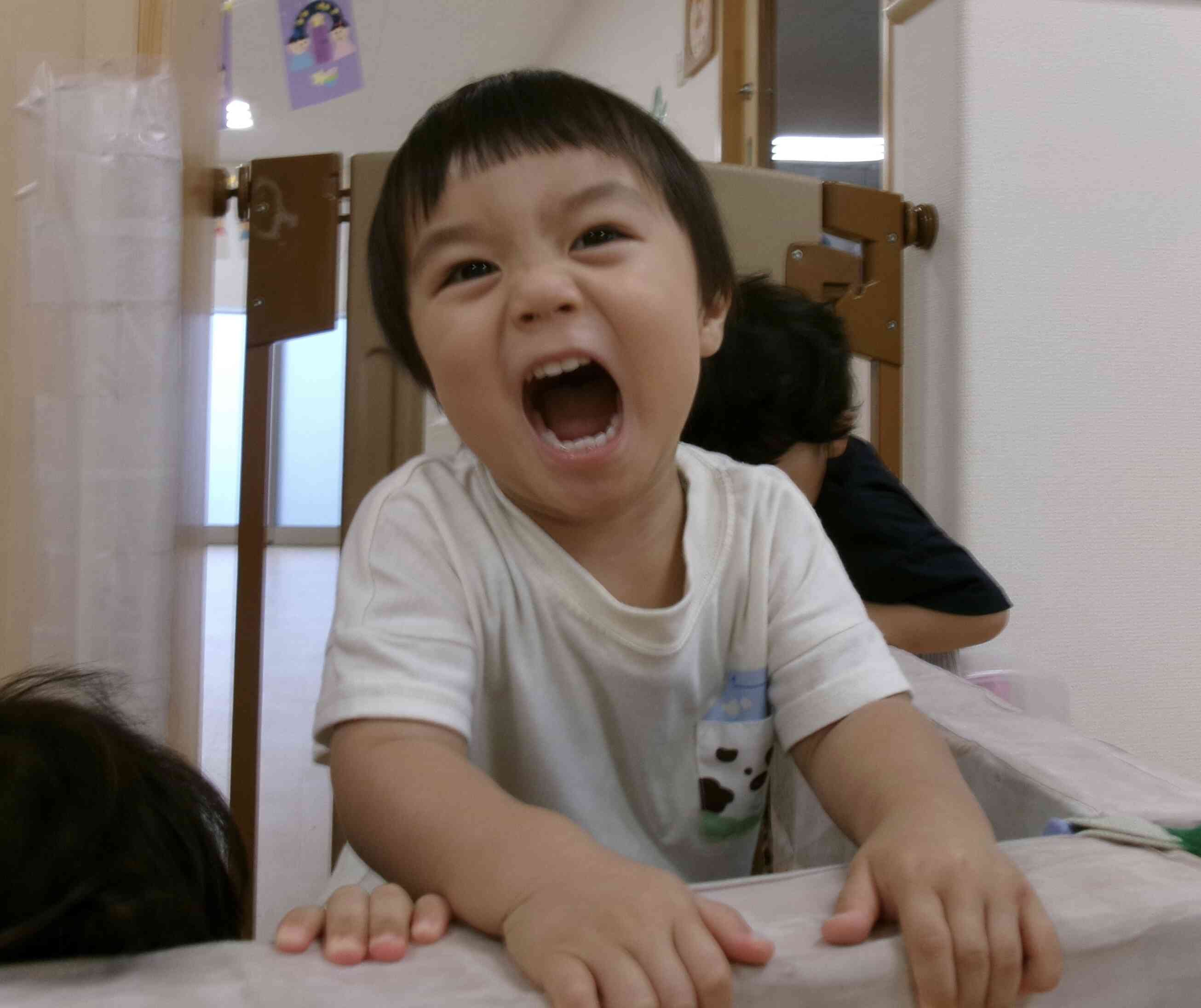 朝、夕方の様子〜あひる・うさぎ組（1歳児・2歳児）〜