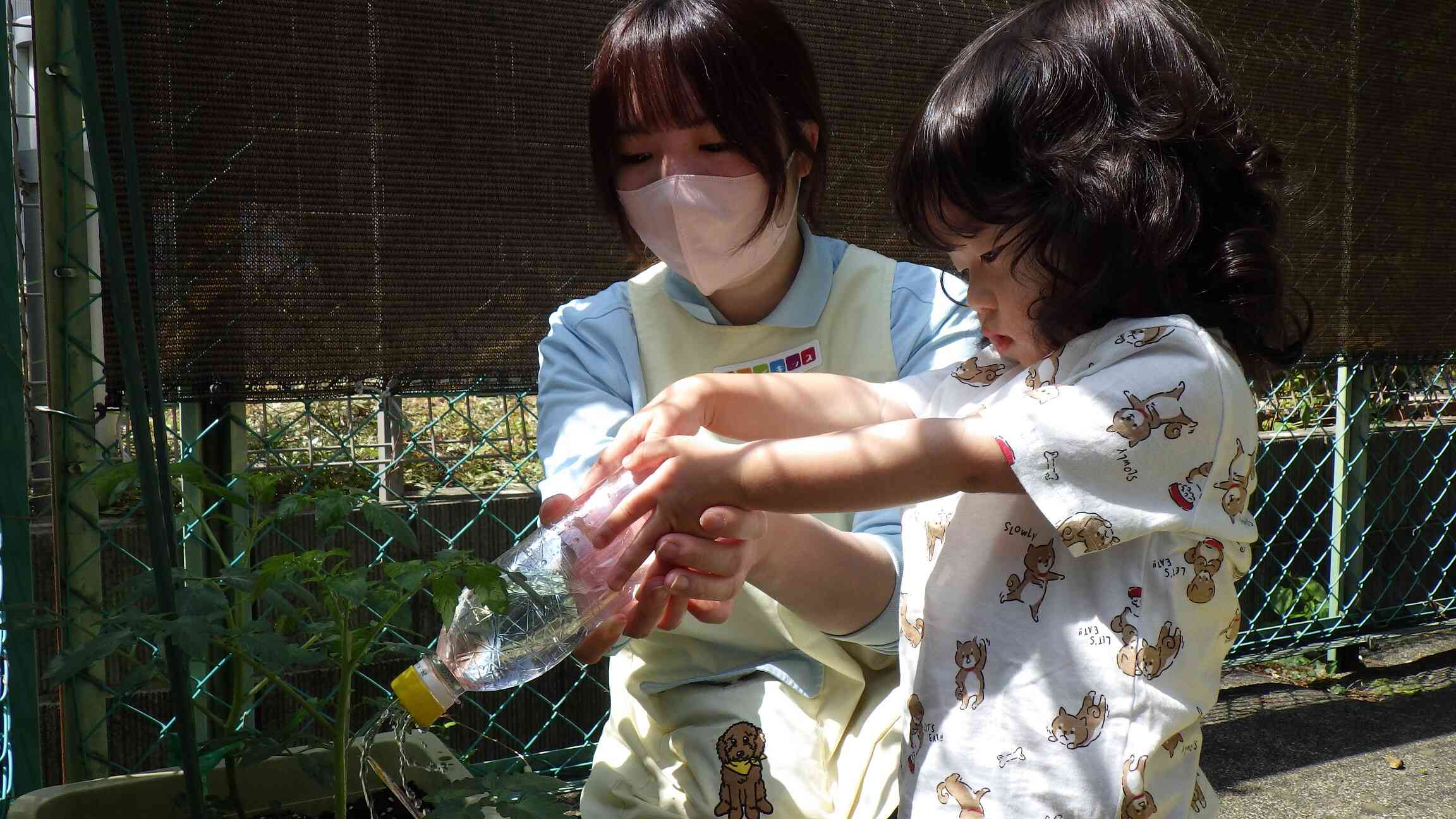 おいしいミニトマトになりますように～♪