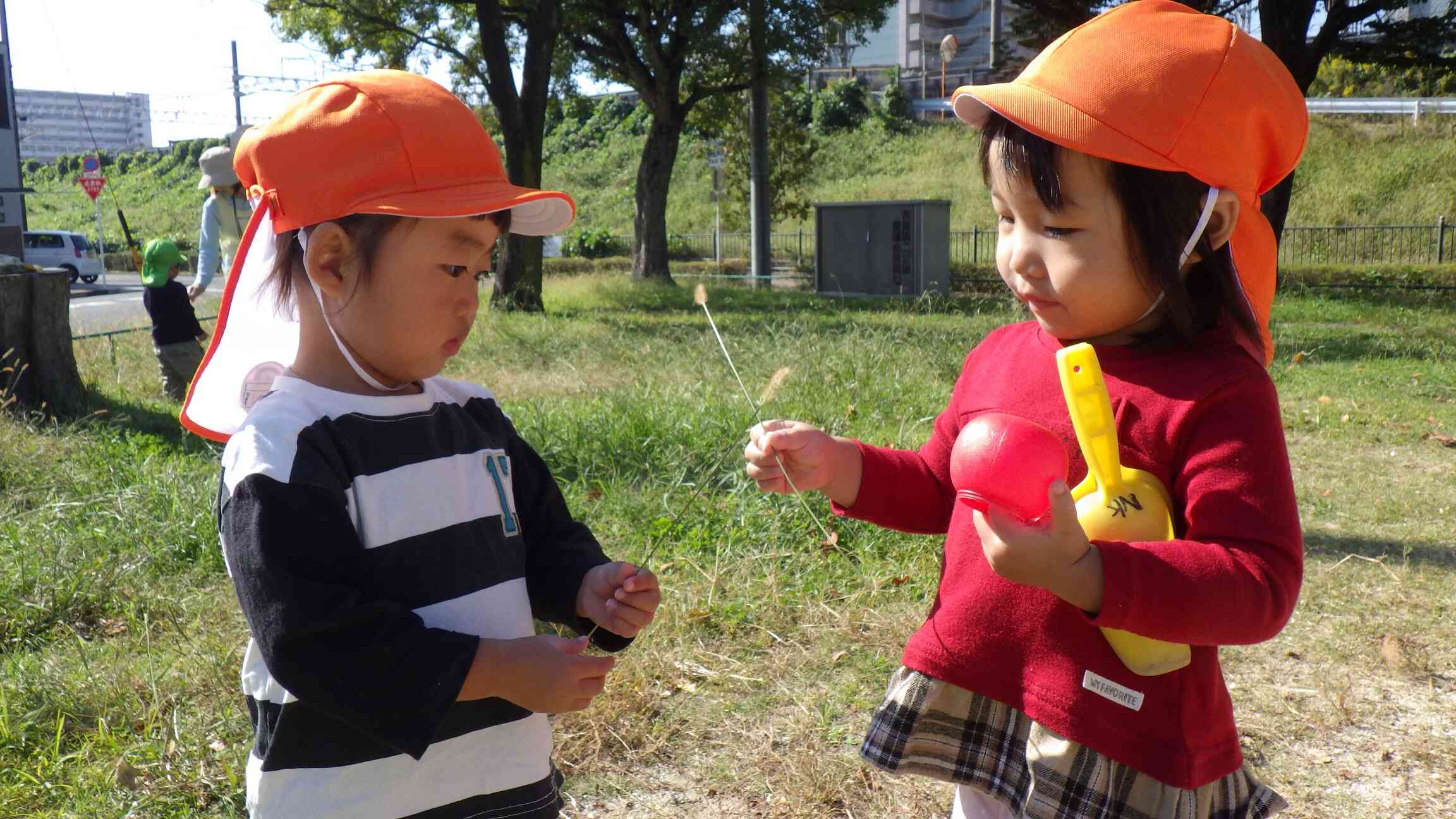 猫じゃらし見つけたよ!!