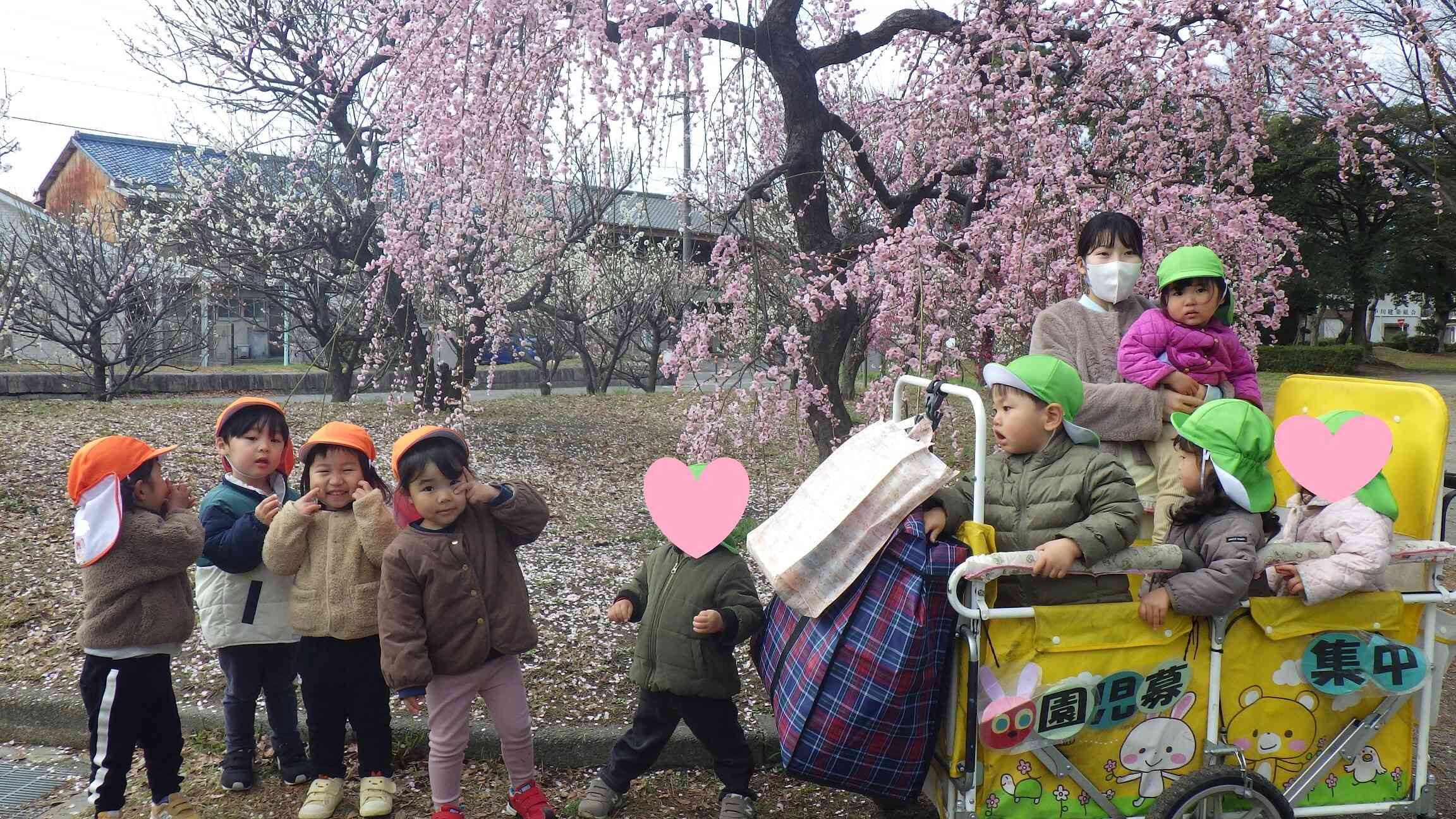 お花見に出かけました