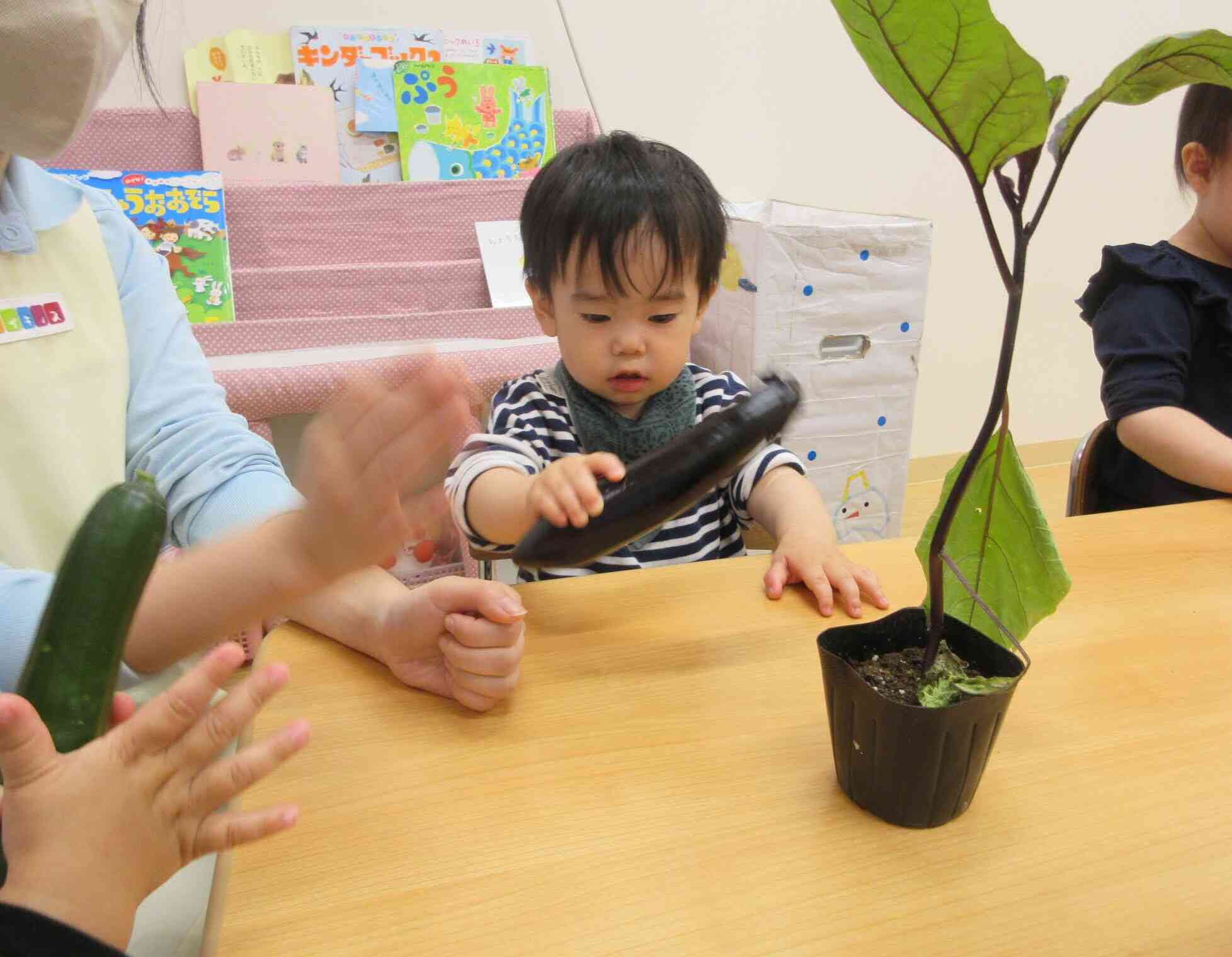 夏野菜を植えました（食育活動）