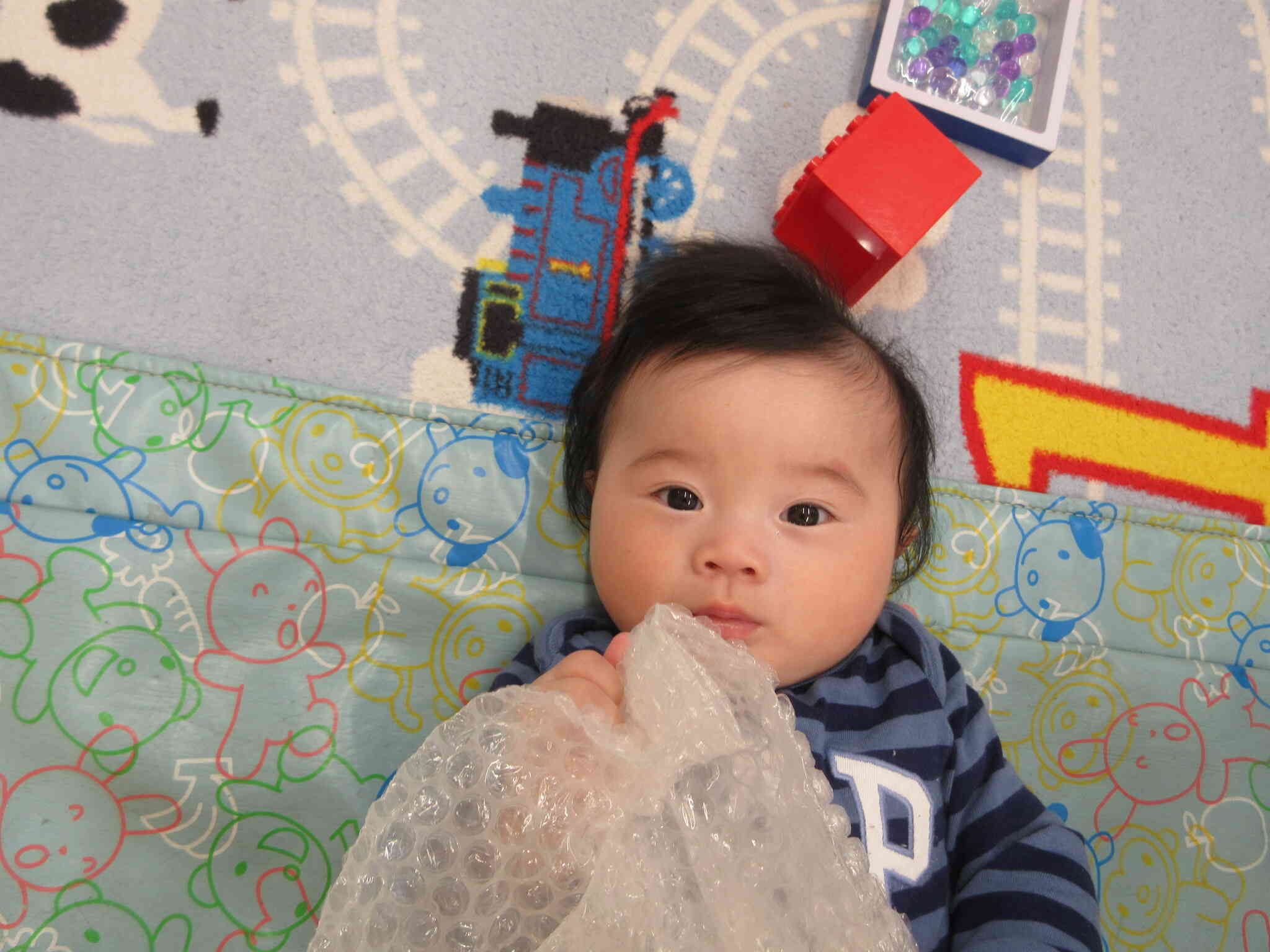 不思議な感触に興味津々です！！