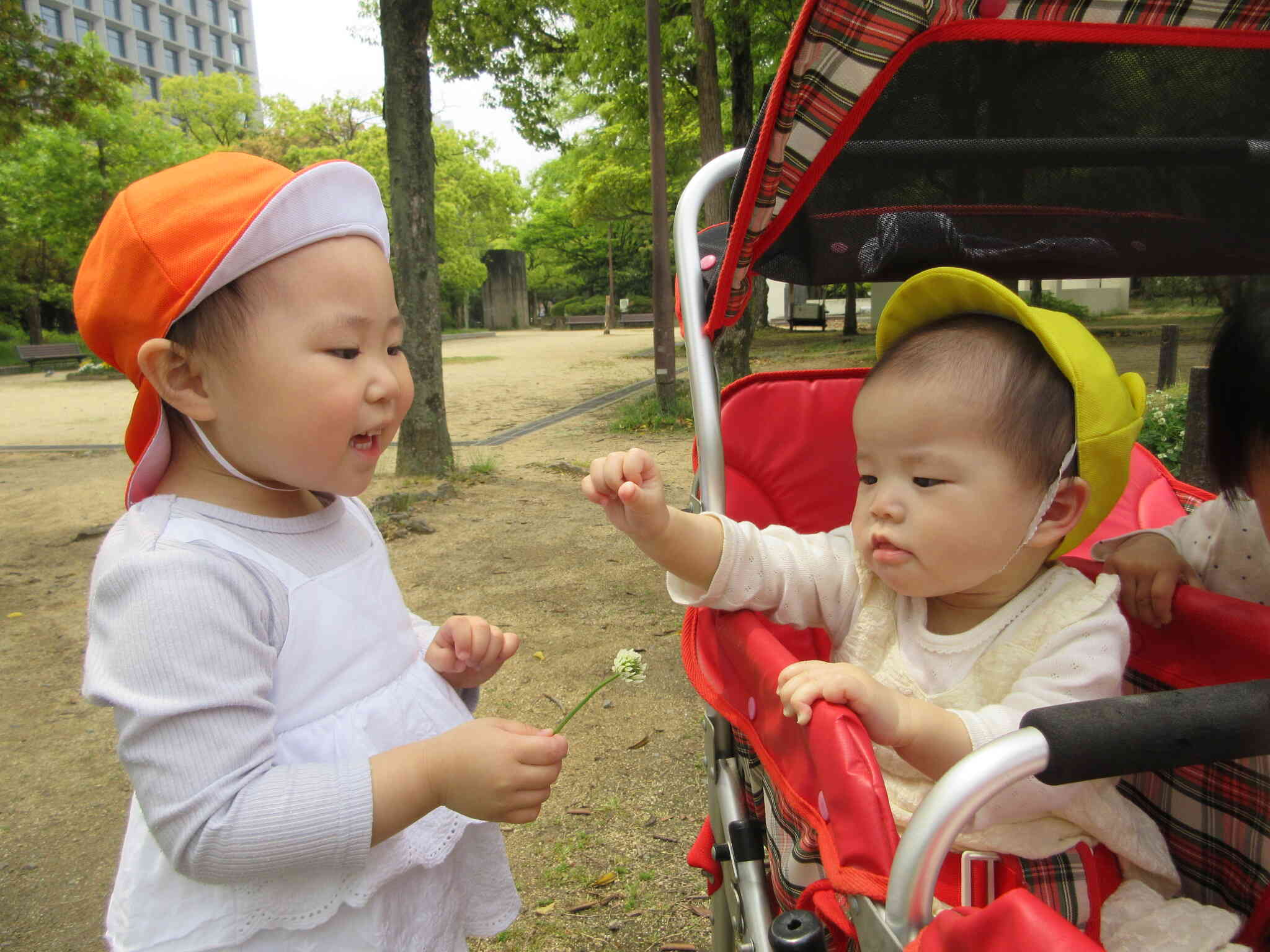 小さいお友だちに「お花みてみて～♡」と見せてあげていますよ♪
