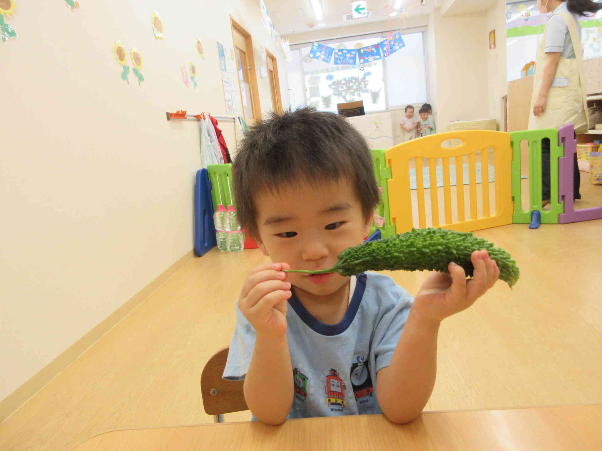 ゴーヤを研究中！！