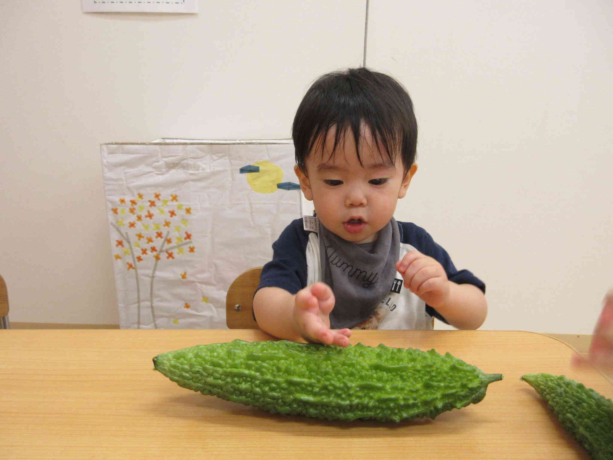 ゴーヤを触ってみたよ！（2歳児　うさぎ組）