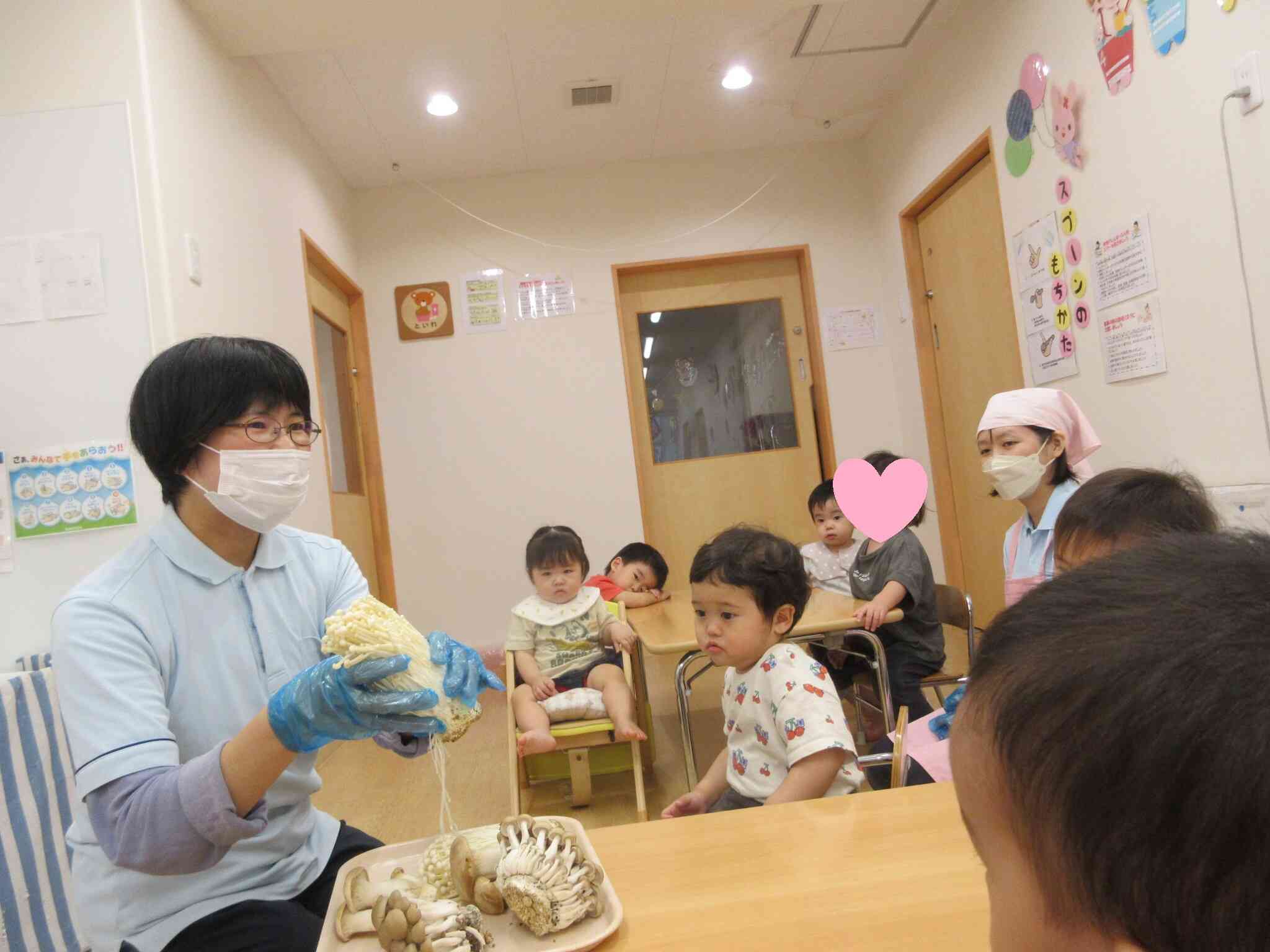 いろいろな種類のキノコに触れたよ♪
