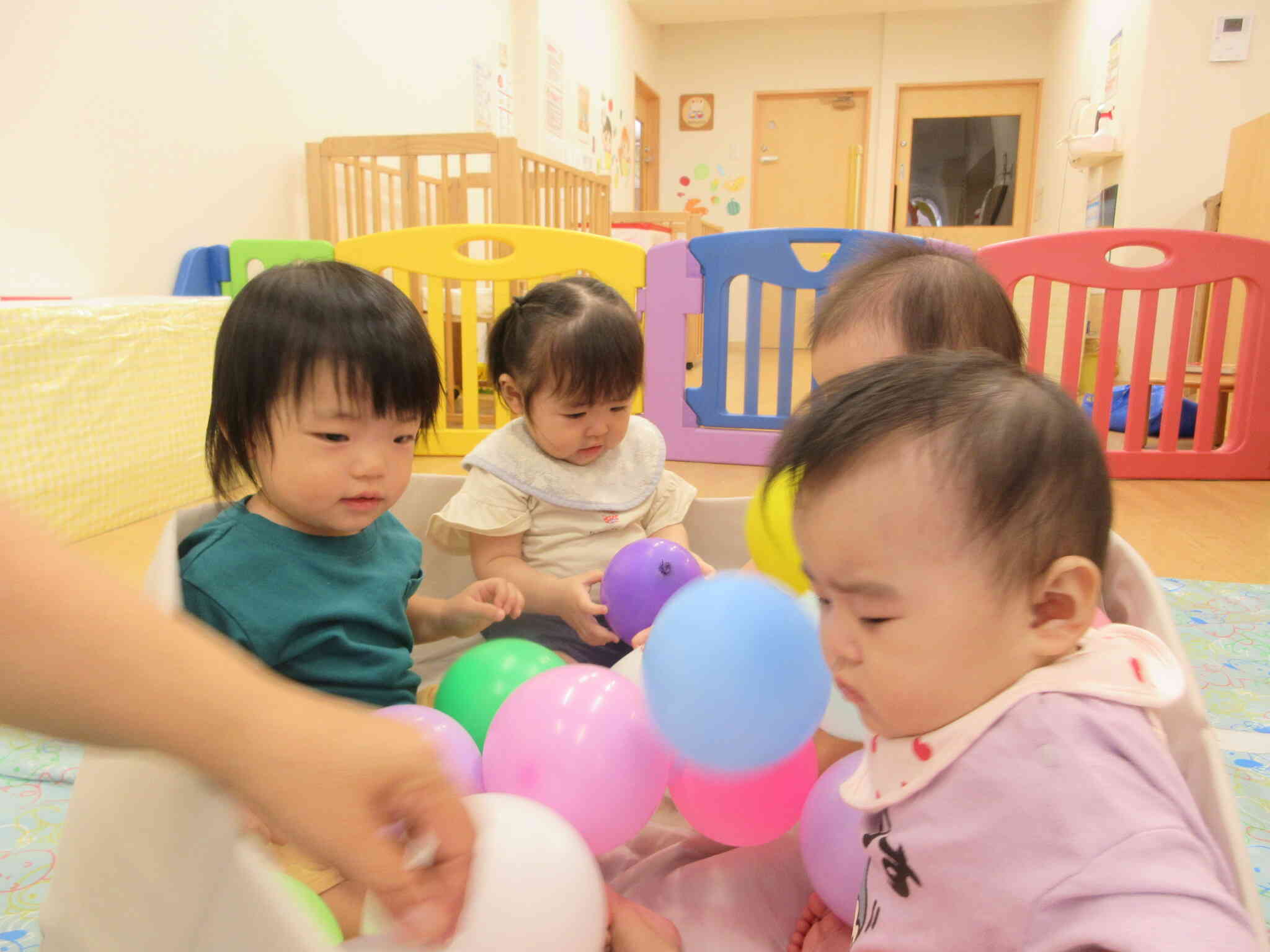 今週のひよこ組さんの様子(0歳児　ひよこ組)