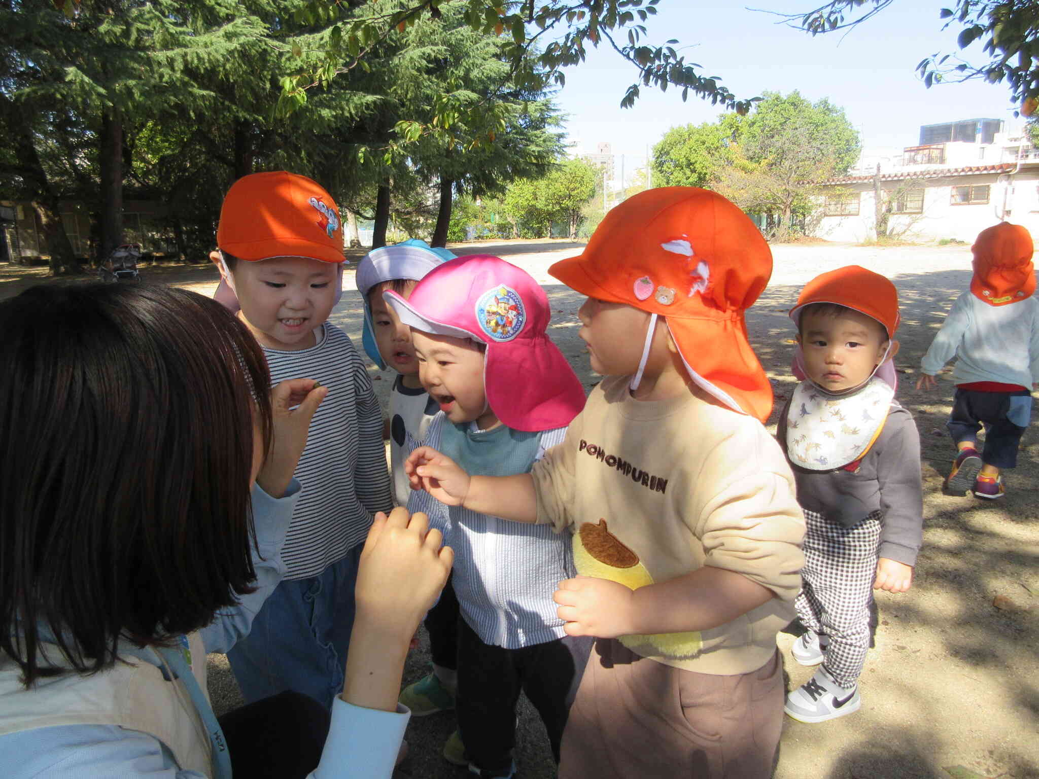 小さいどんぐり見つけたよ！まだ緑色だったね。