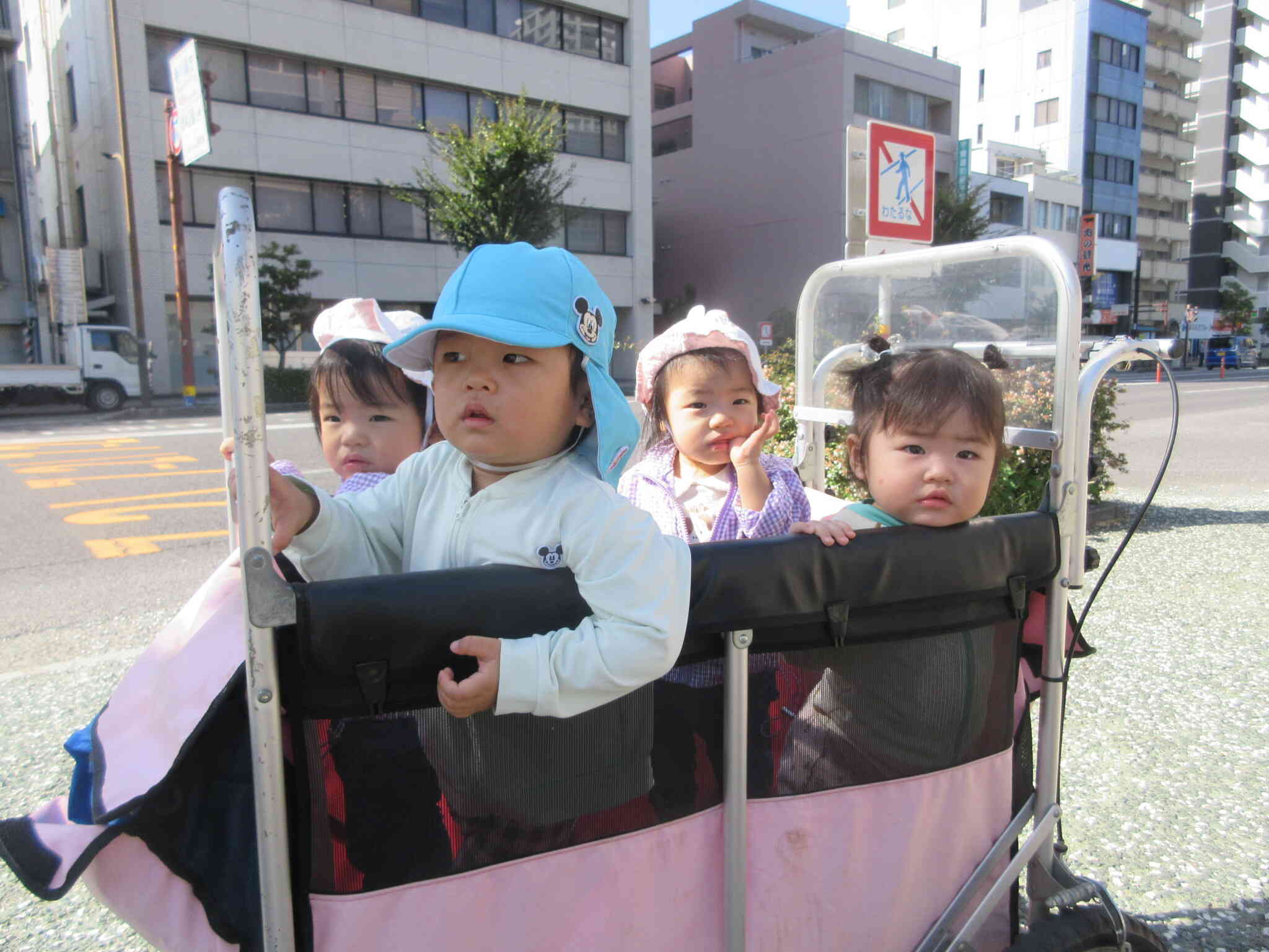 お散歩に出発です！