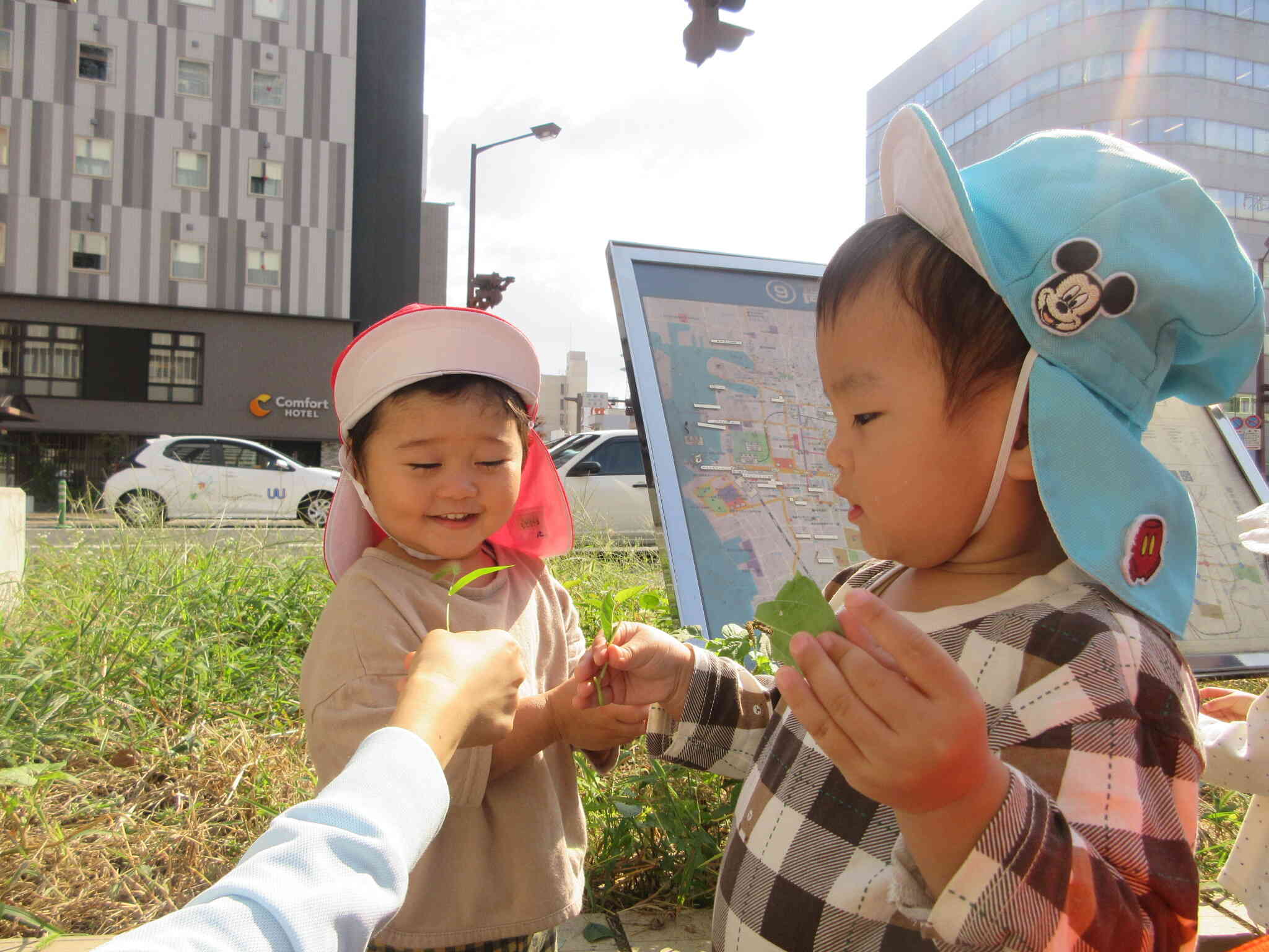 いっぱい葉っぱを見つけたね！