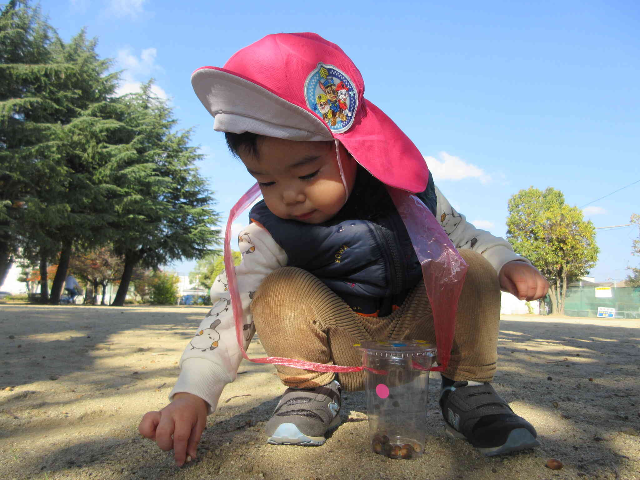 たくさん落ちているね！