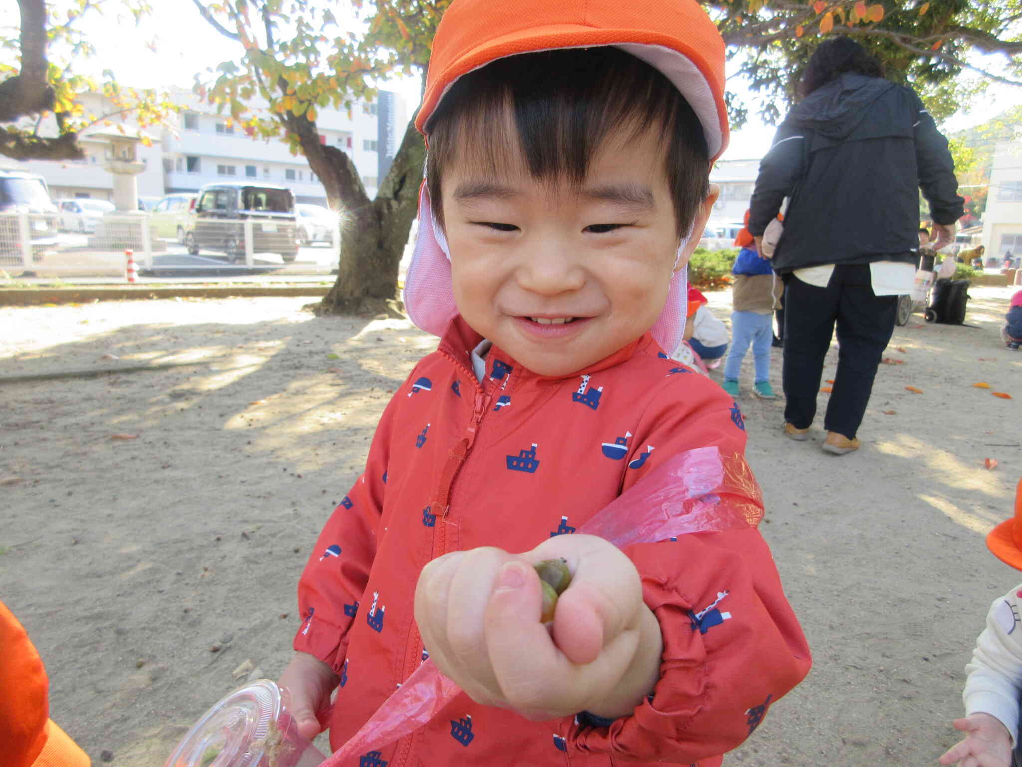 公園でどんぐりを拾ったよ！