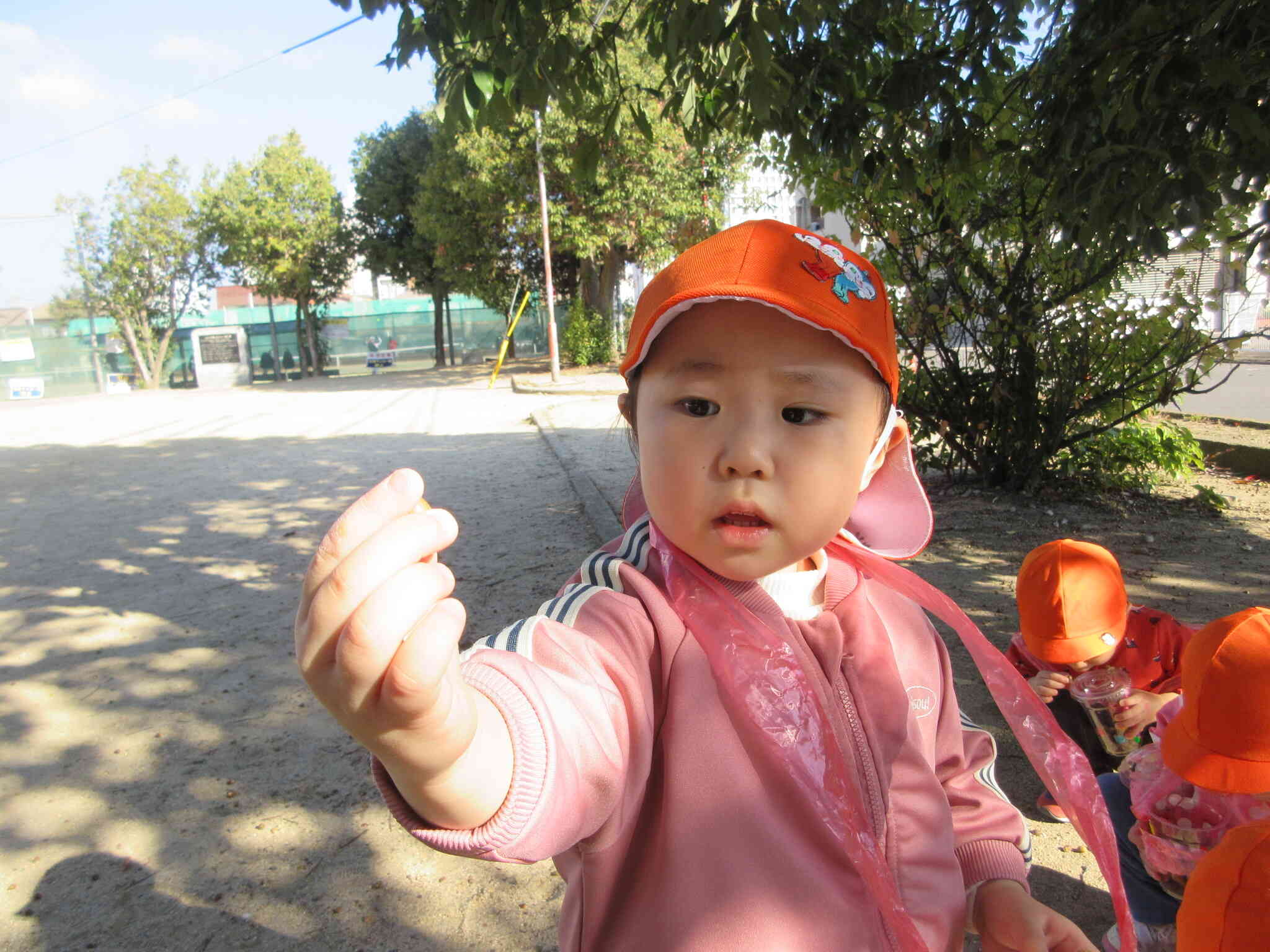 どんぐり見つけた！！