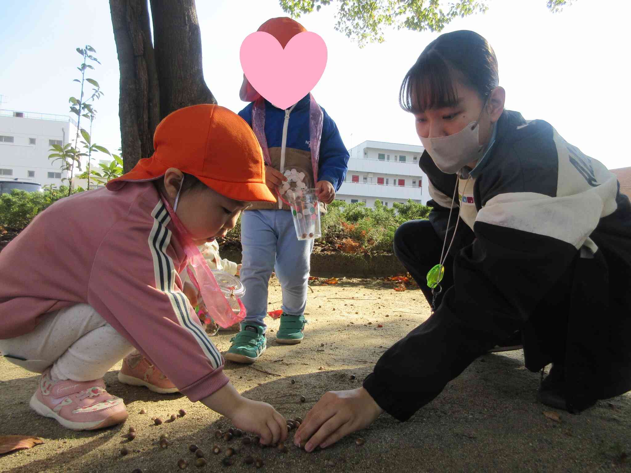 いっぱい拾うよ♪