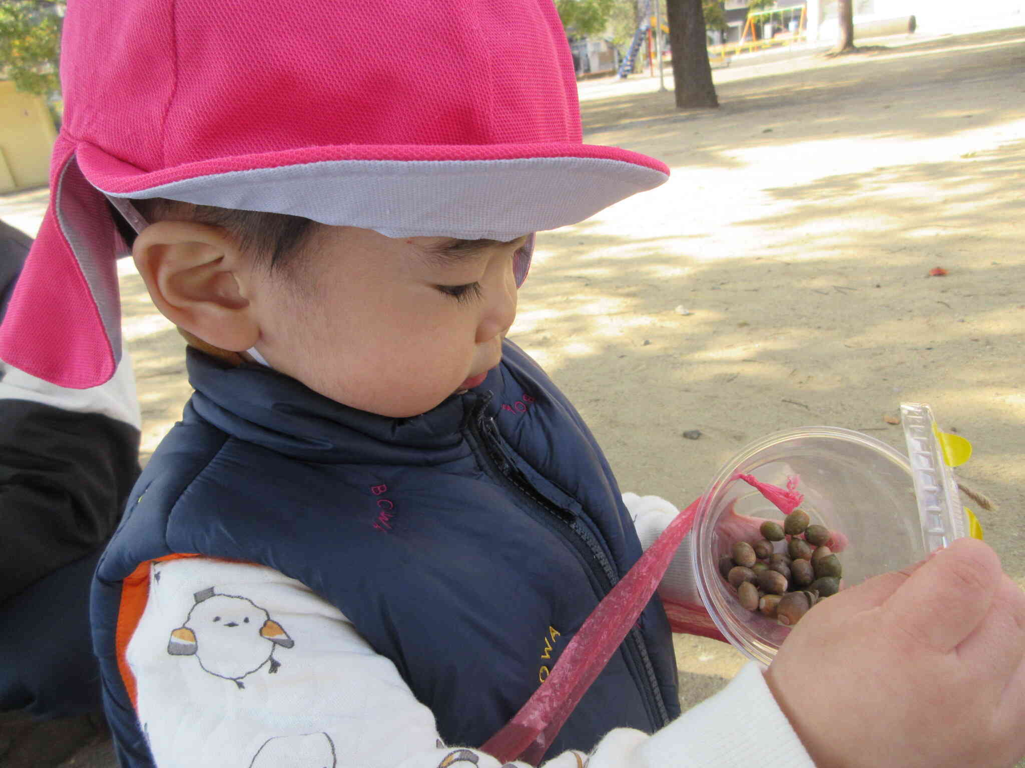 散歩バックにたくさん集めたよ