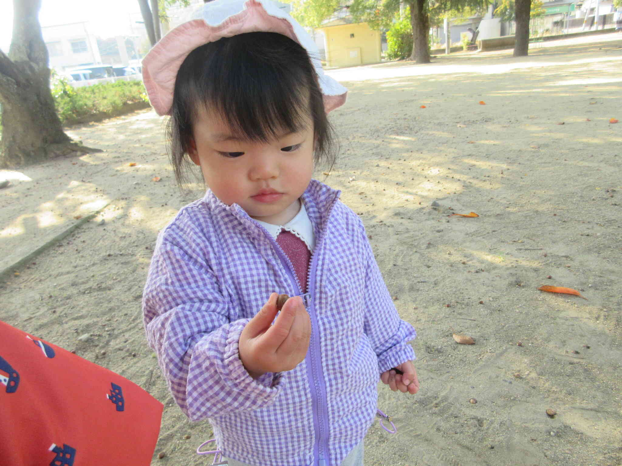 「先生！みてー！どんぐり見つけたよ♪」